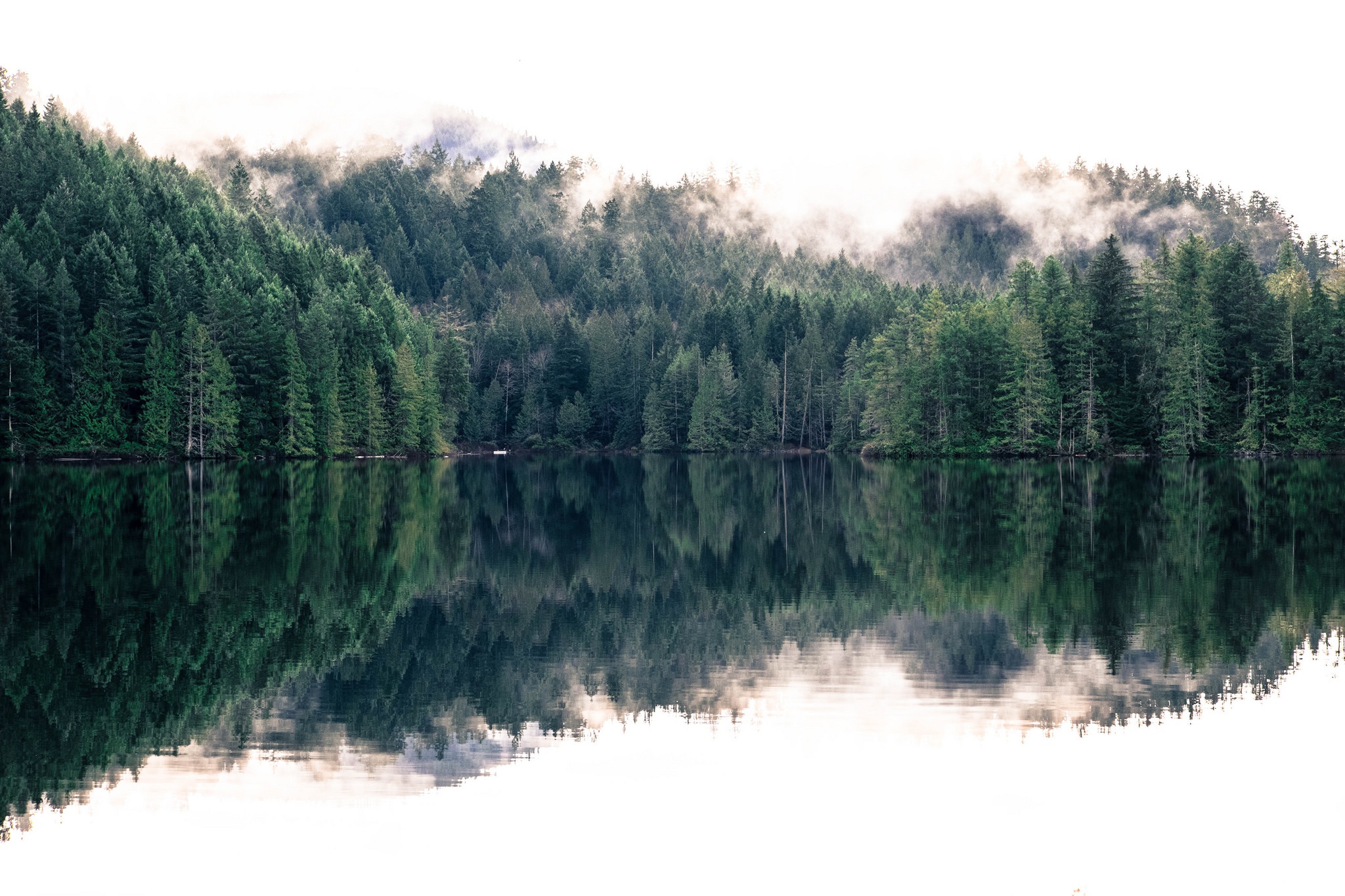 Download mobile wallpaper Nature, Lake, Reflection, Forest, Fog, Earth for free.