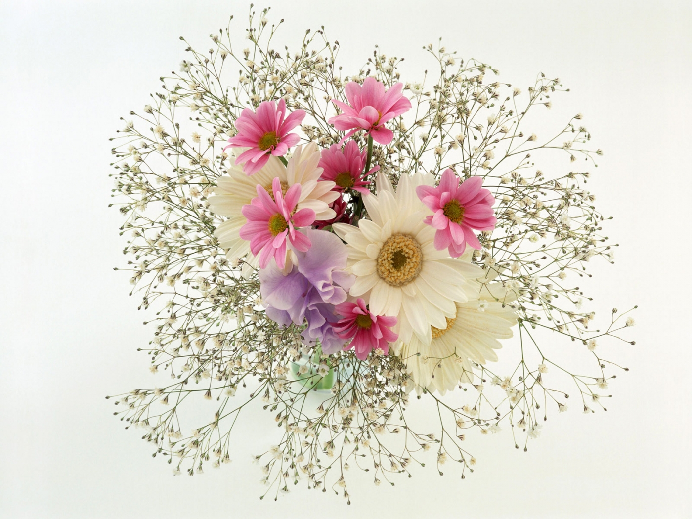 bouquets, plants, flowers High Definition image