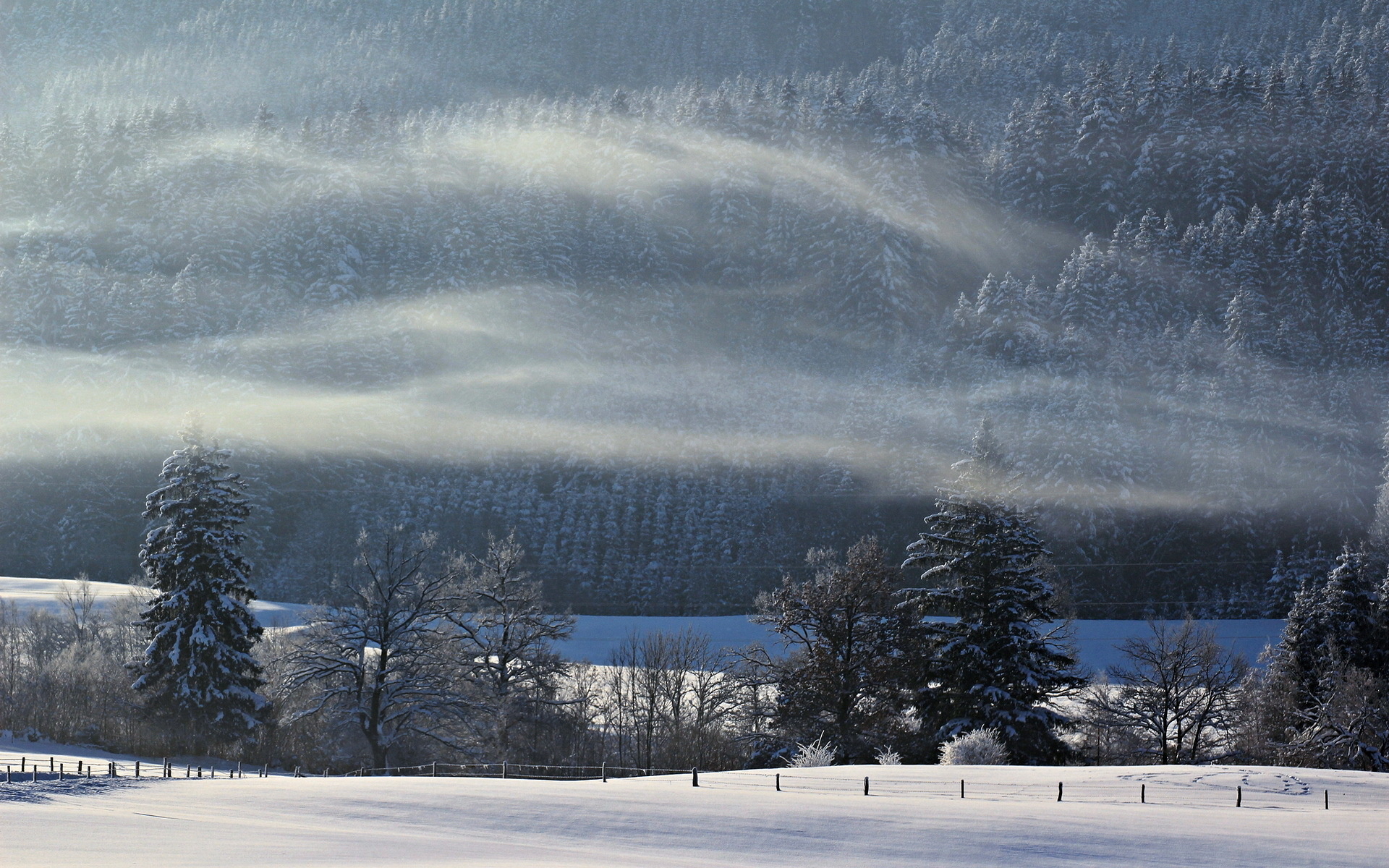 Handy-Wallpaper Winter, Erde/natur kostenlos herunterladen.