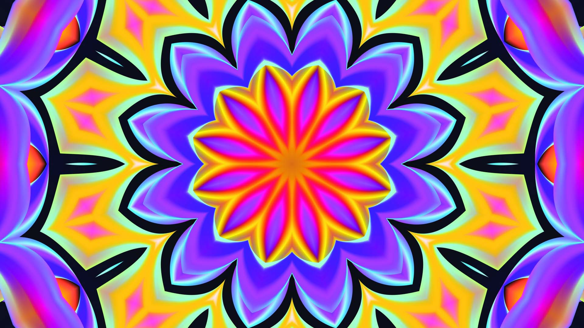 Download mobile wallpaper Abstract, Flower, Pattern, Colors, Colorful, Shapes, Kaleidoscope for free.