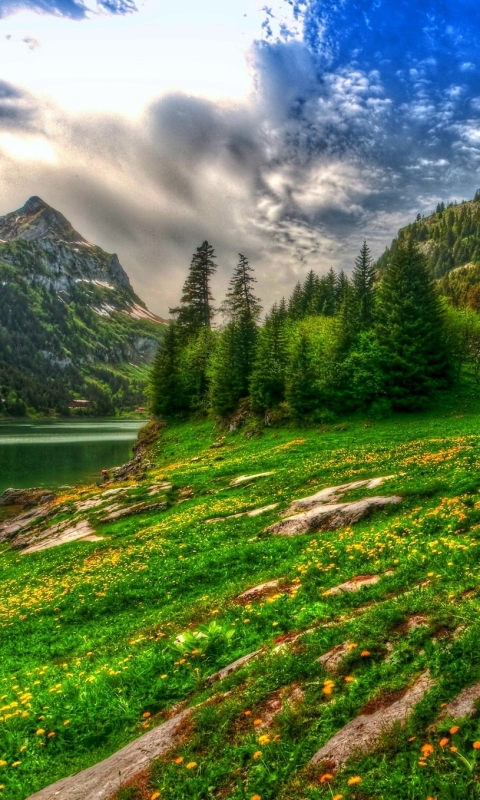 Скачать картинку Пейзаж, Гора, Озеро, Дерево, Земля, Зеленый, Земля/природа в телефон бесплатно.