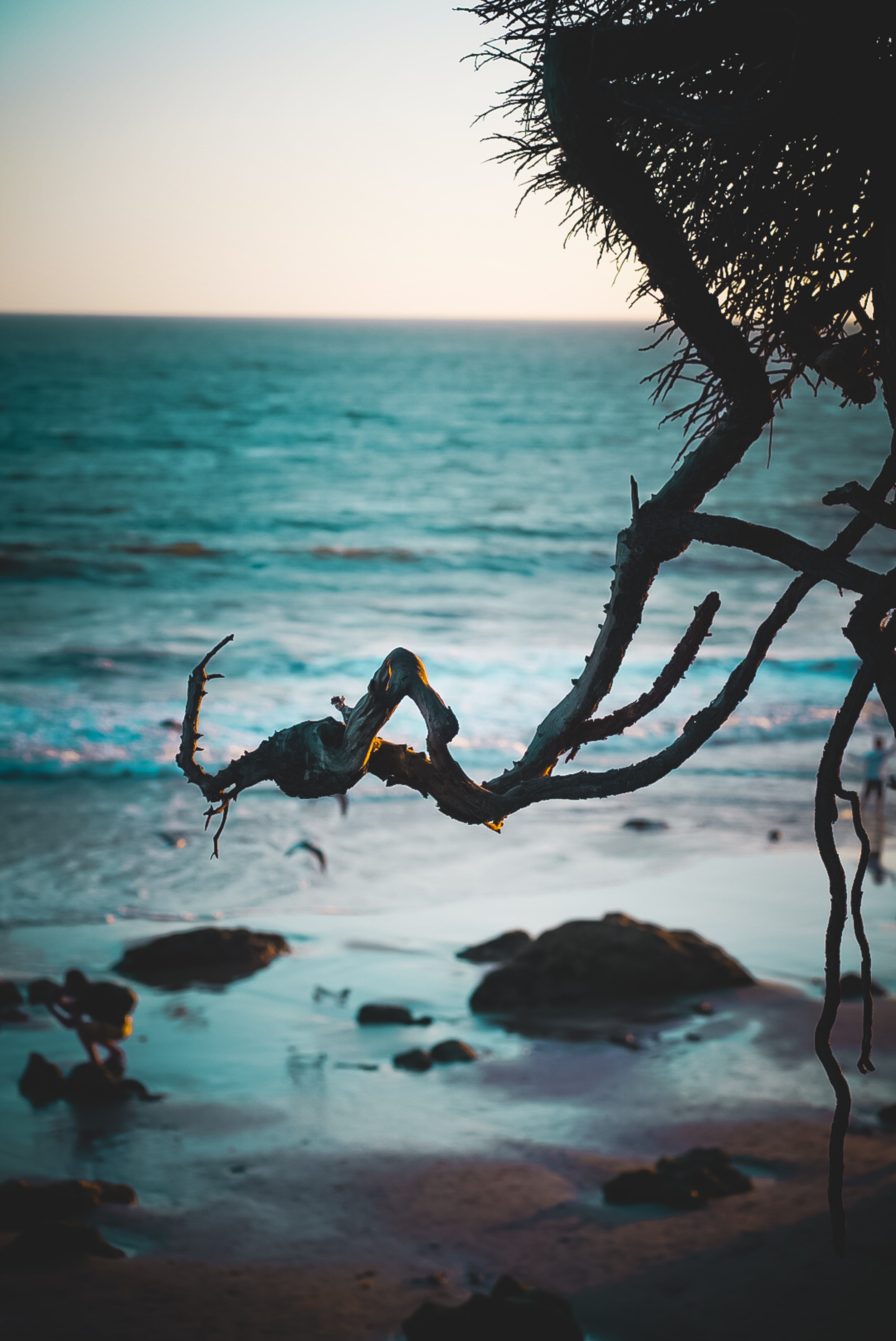 Free download wallpaper Water, Sea, Branch, Nature, Sand, Beach on your PC desktop