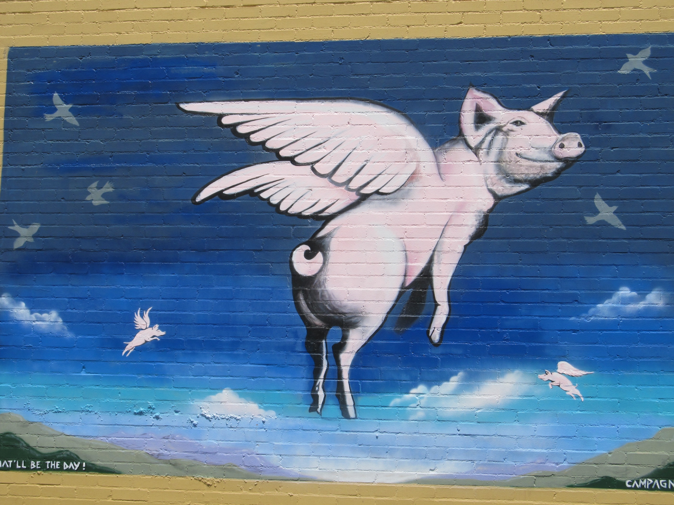 無料モバイル壁紙豚, 壁, 翼, 落書き, 芸術的をダウンロードします。