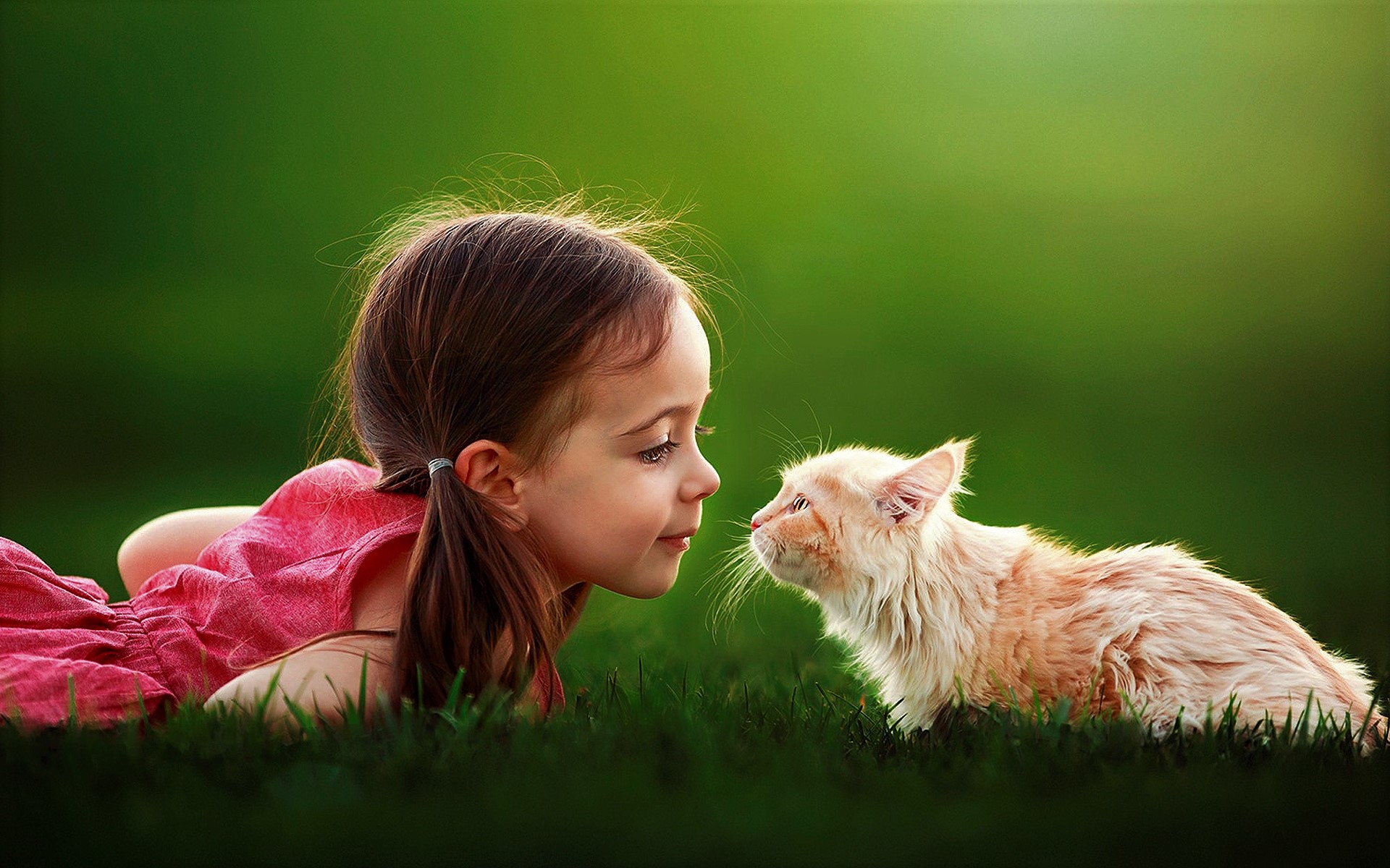 Handy-Wallpaper Katze, Süß, Kind, Fotografie, Gras, Kleines Mädchen kostenlos herunterladen.