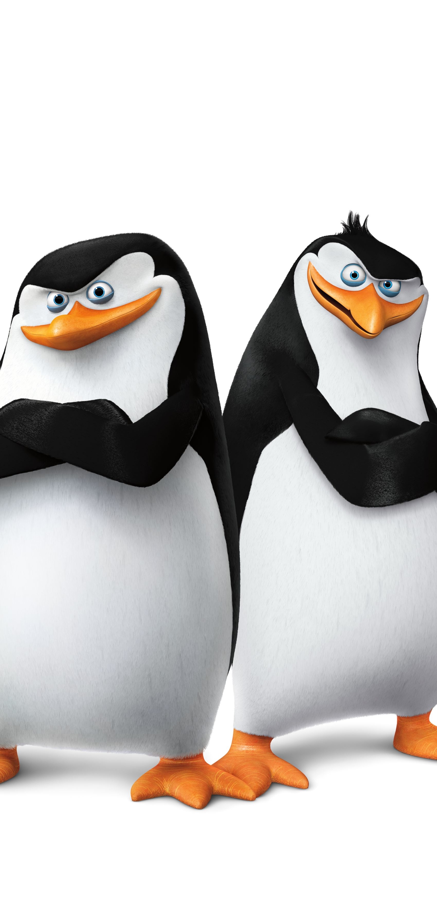 Baixar papel de parede para celular de Filme, Os Pinguins De Madagascar gratuito.