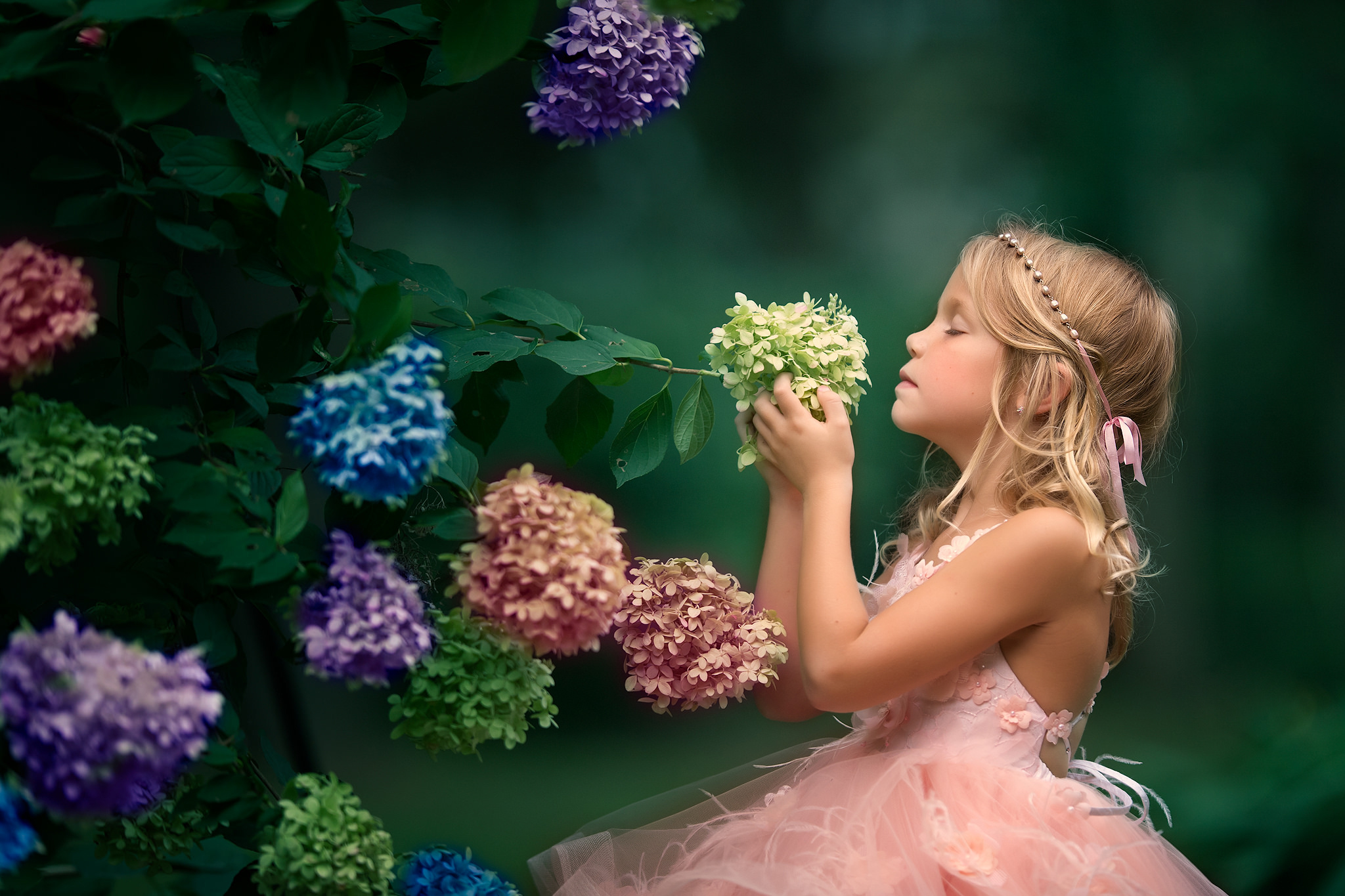 photography, child, blonde, flower, hydrangea, little girl