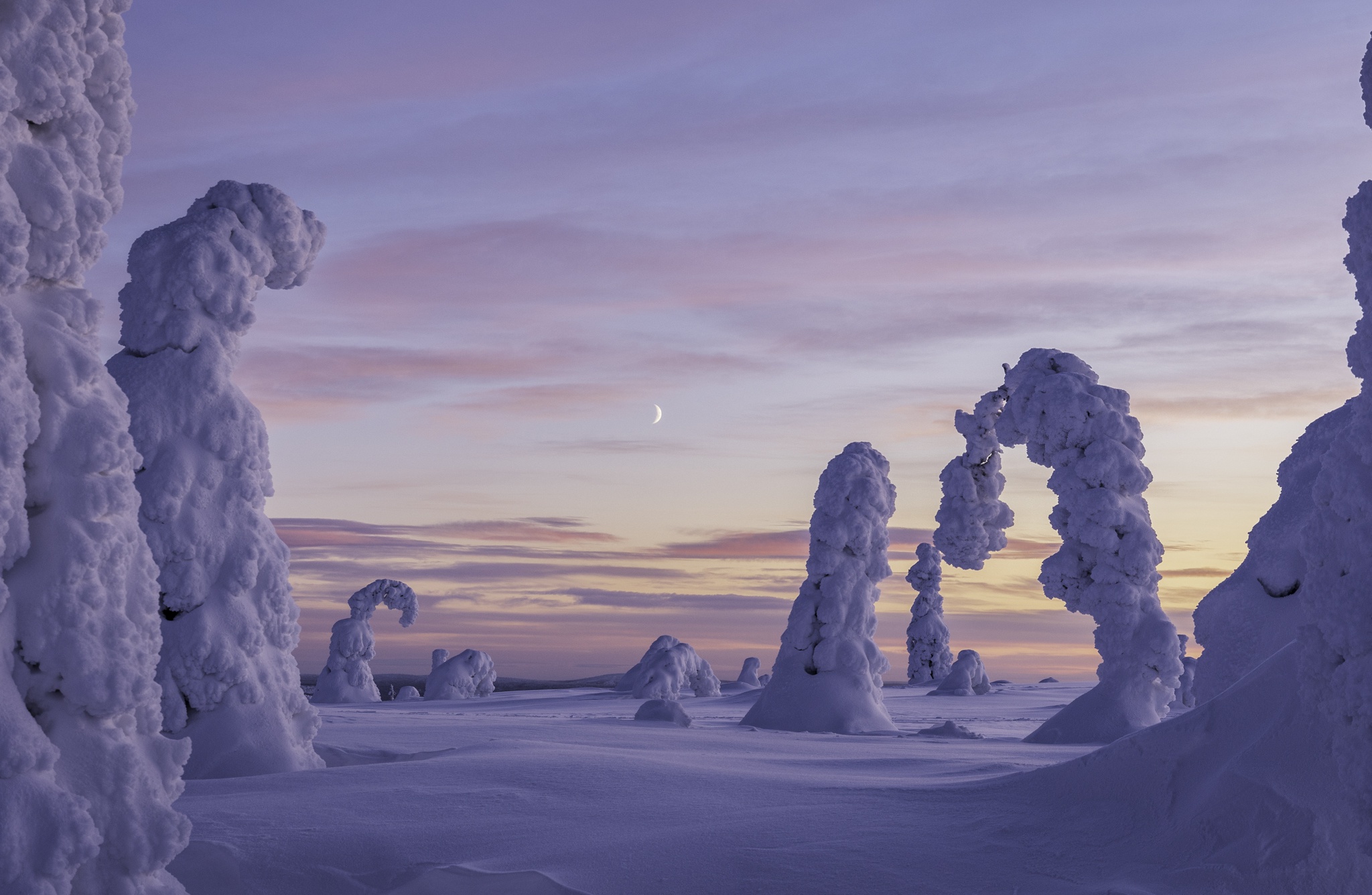 Скачать обои бесплатно Зима, Природа, Снег, Ландшафт, Финляндия, Земля/природа картинка на рабочий стол ПК