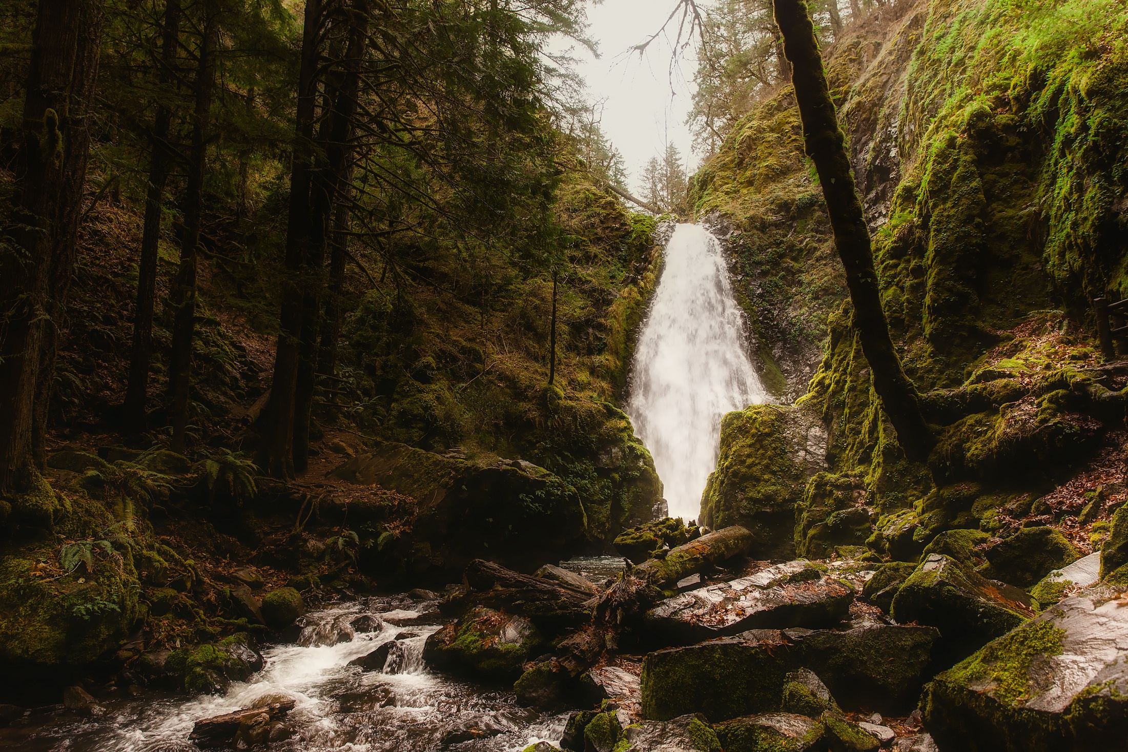 Descarga gratuita de fondo de pantalla para móvil de Naturaleza, Cascadas, Cascada, Musgo, Chorro, Tierra/naturaleza.