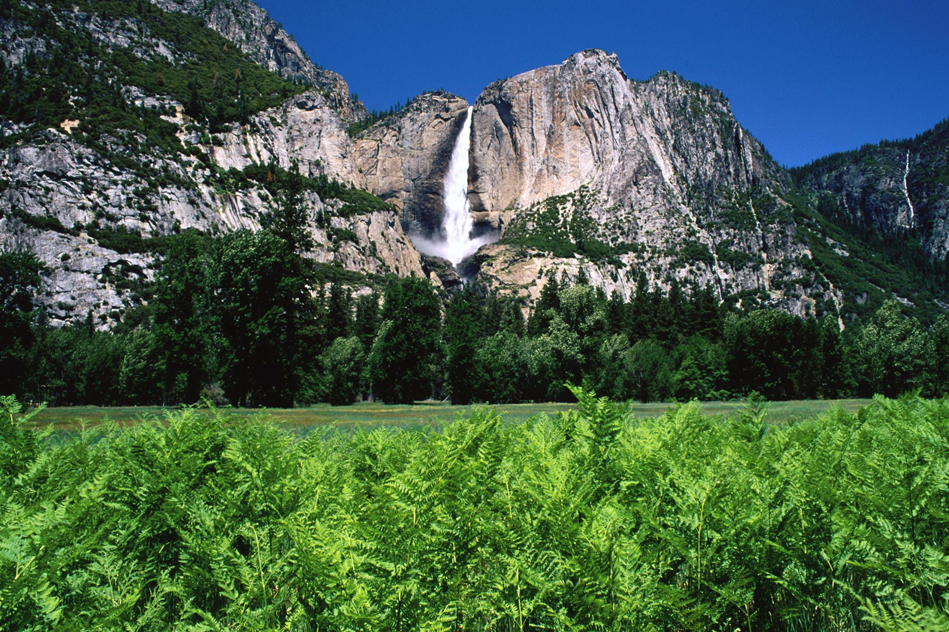 Laden Sie das Natur, Wasser, Wasserfälle, Farne, Wasserfall, Vegetation, Gebirge, Yosemite Nationalpark, Erde/natur, Yosemite Falls-Bild kostenlos auf Ihren PC-Desktop herunter