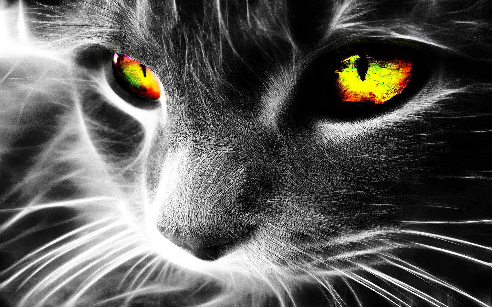 Download mobile wallpaper Cgi, Fractal, Cat, Cats, Animal for free.