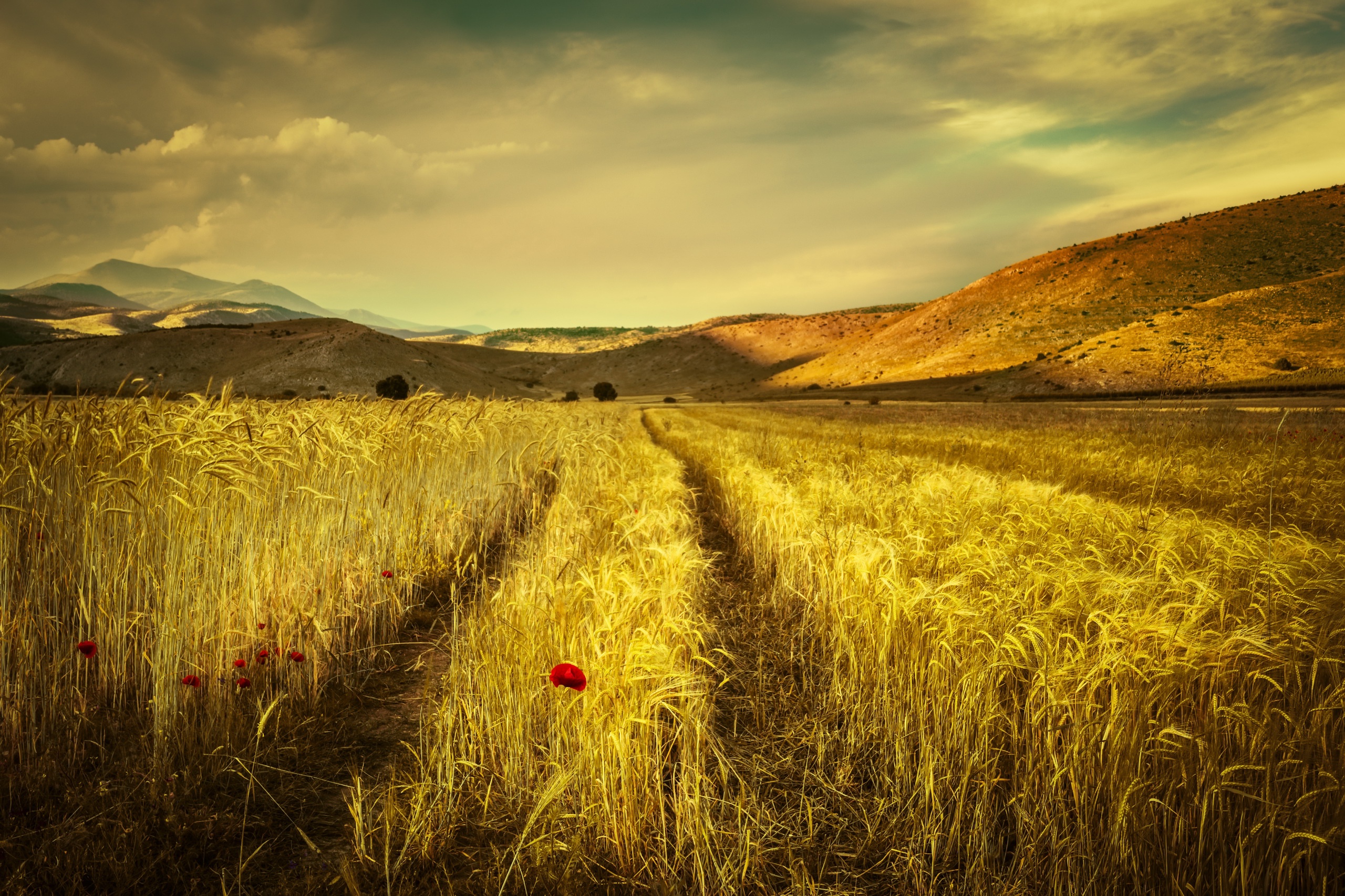 Download mobile wallpaper Landscape, Nature, Summer, Earth, Field, Hill for free.