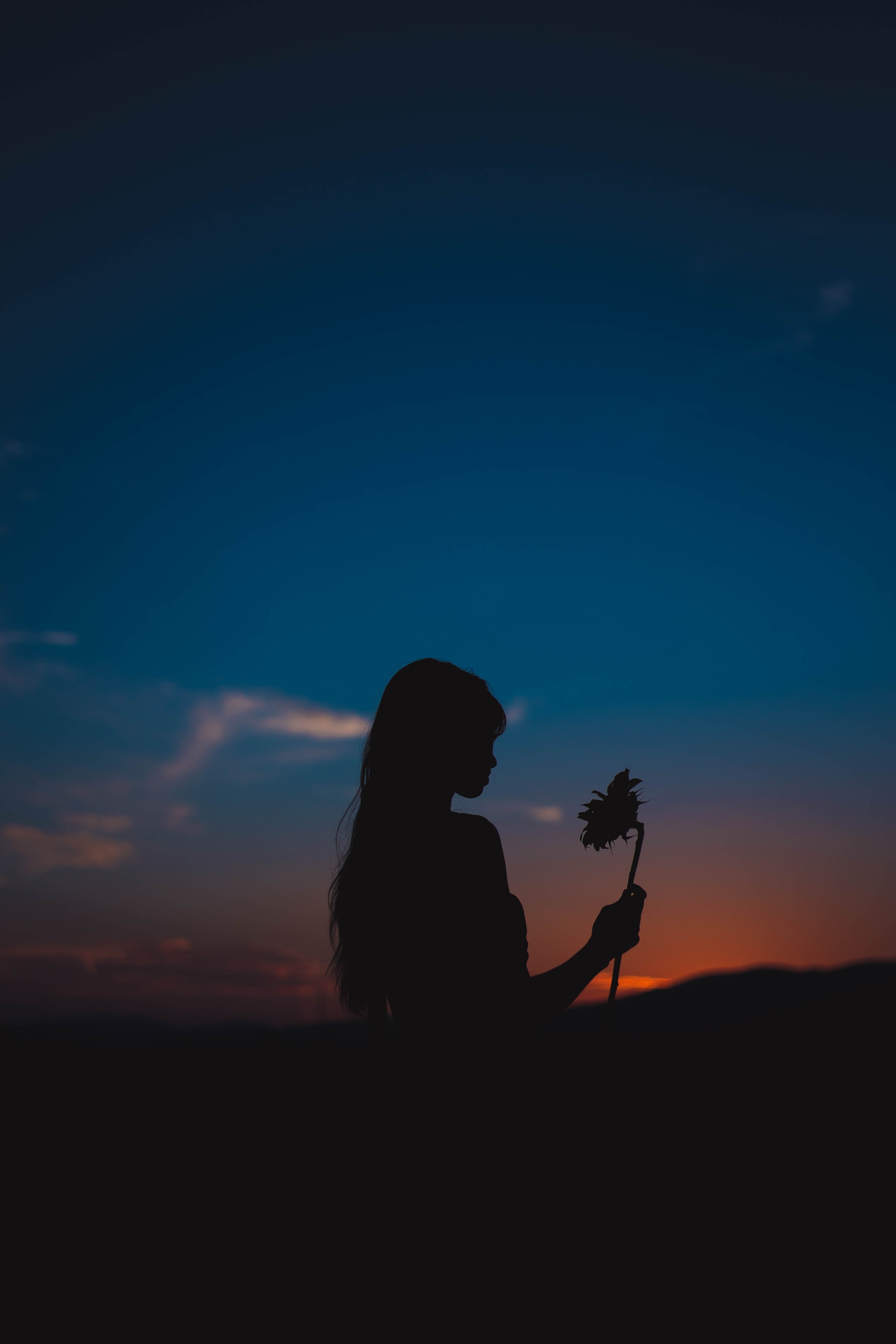 girl, sunflower, dark, sunset, flower, silhouette Phone Background