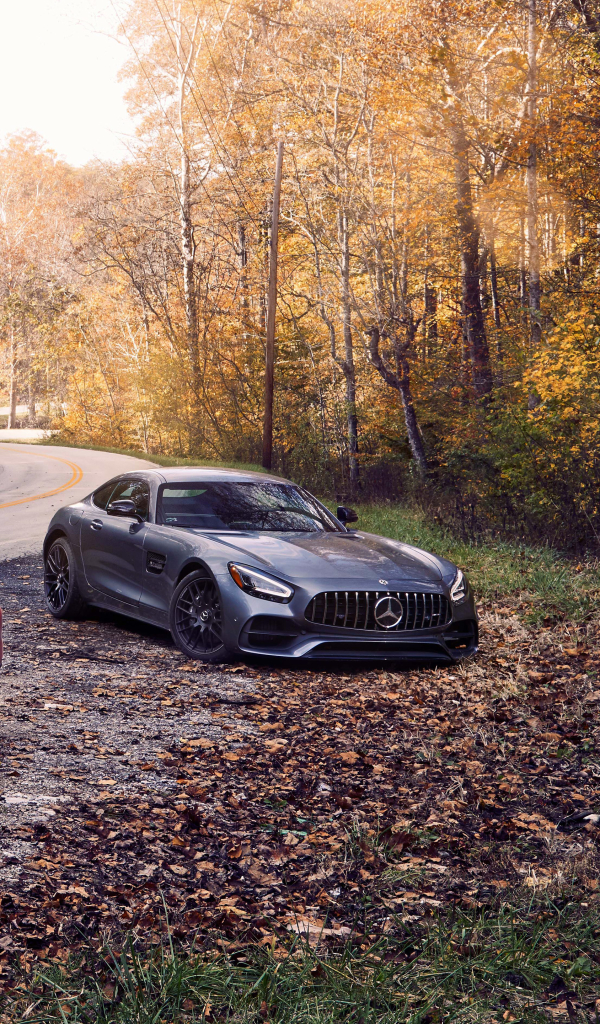 Download mobile wallpaper Mercedes Benz, Vehicles, Mercedes Amg Gt for free.