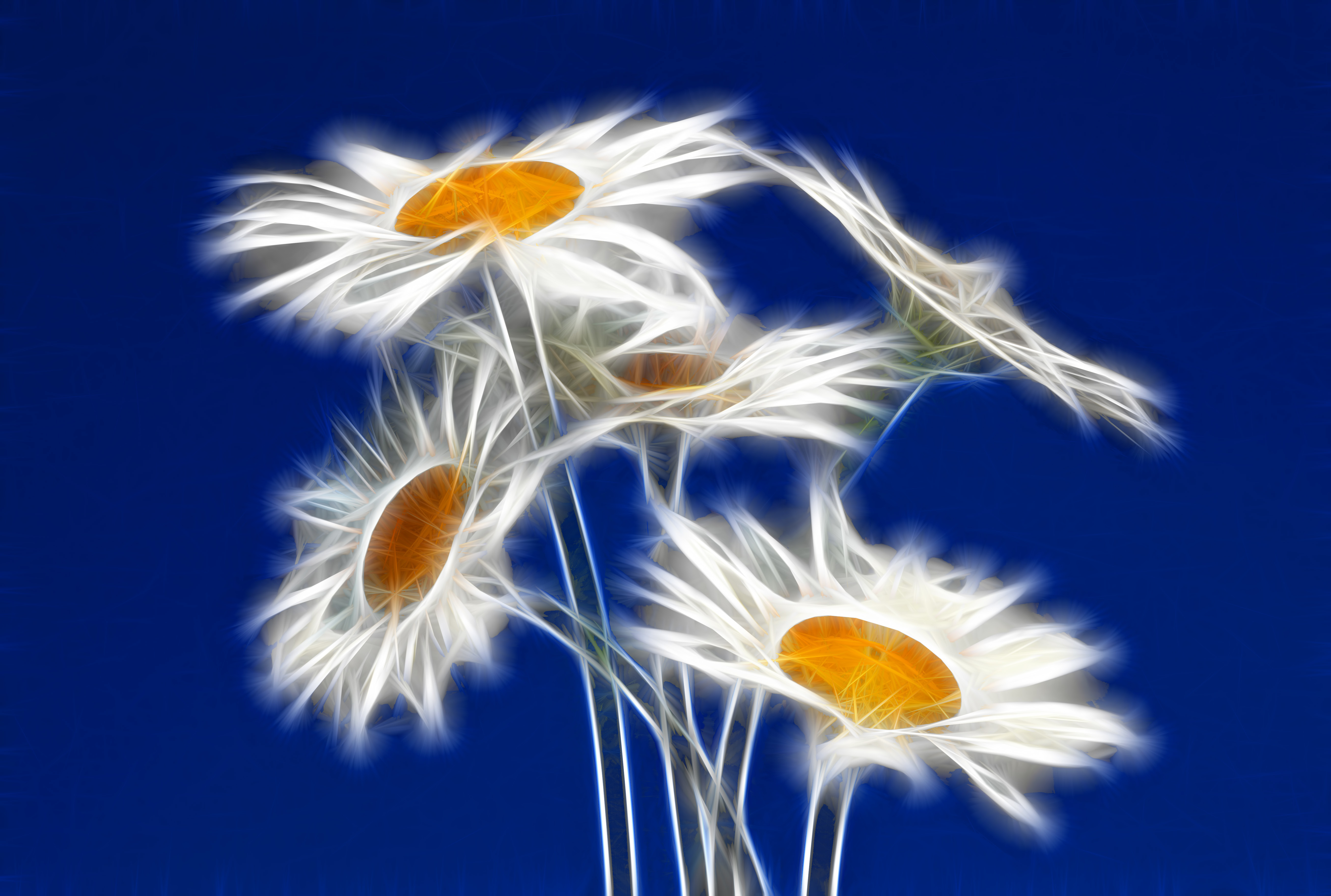 Download mobile wallpaper Daisy, Flowers, Flower, Artistic for free.