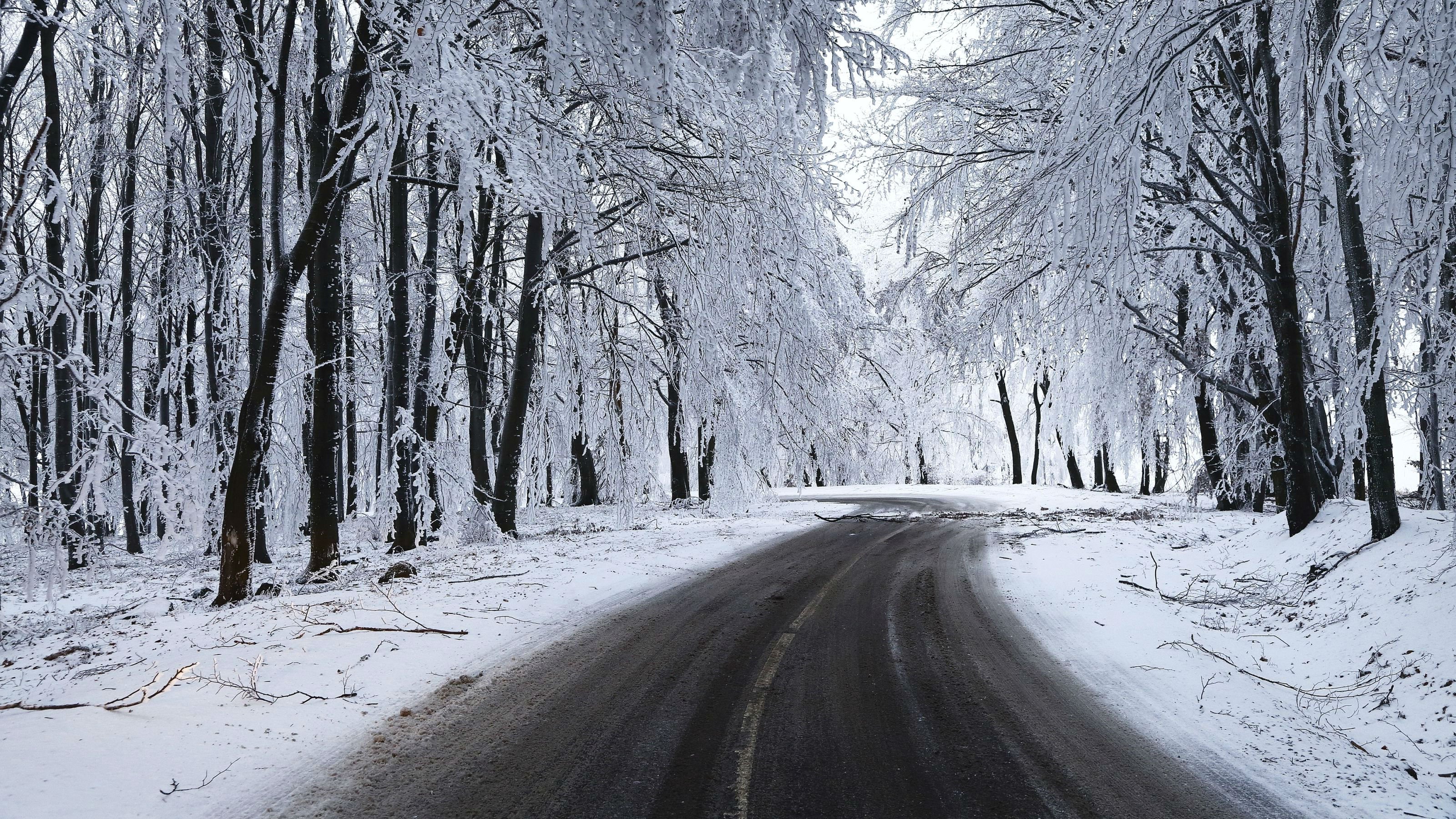Free download wallpaper Winter, Snow, Road, Tree, Man Made on your PC desktop