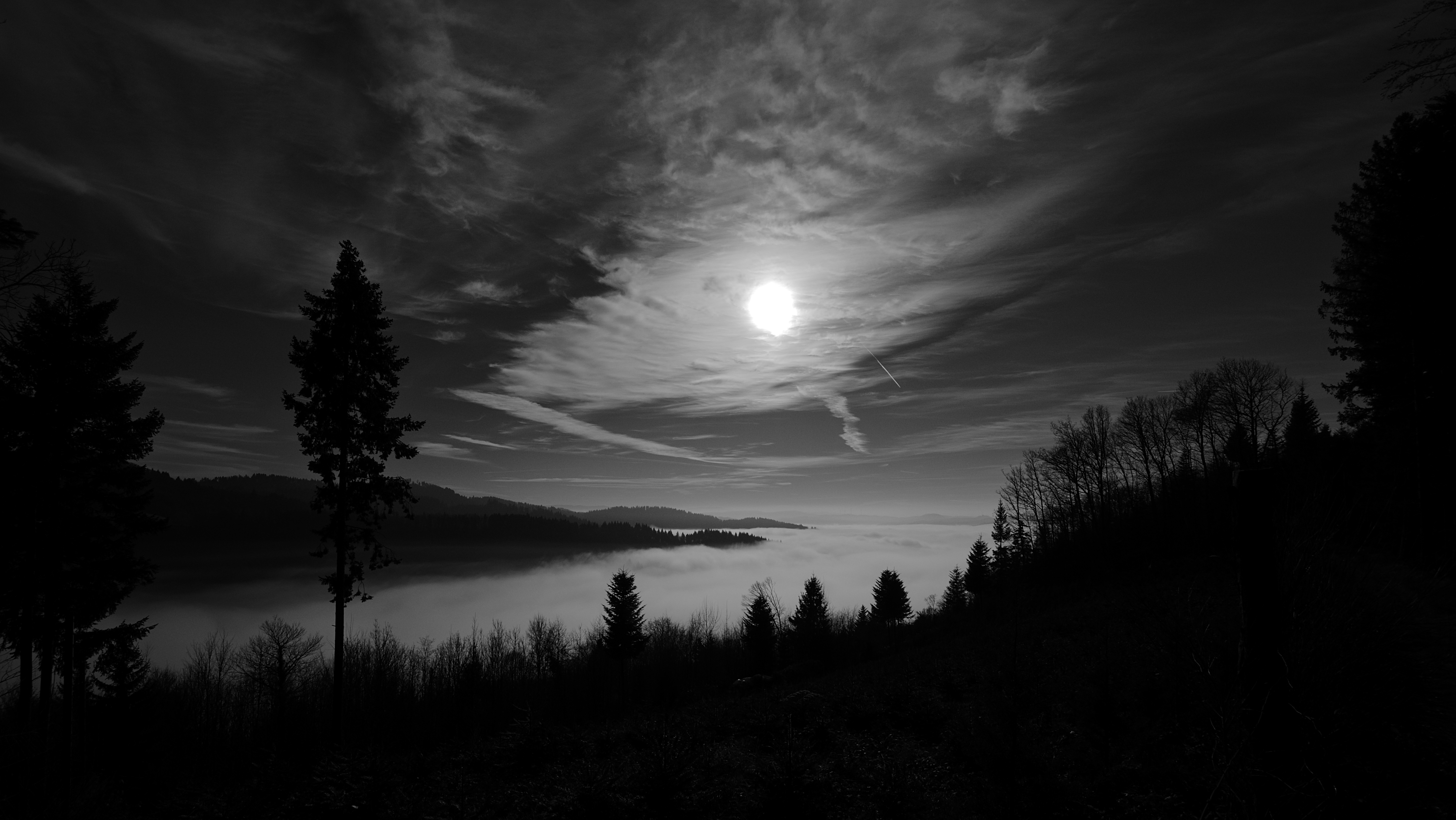 Free download wallpaper Trees, Bw, Nature, Sky, Forest, Chb, Moon on your PC desktop