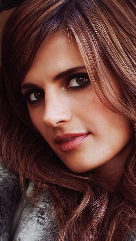Download mobile wallpaper Celebrity, Actress, Stana Katic for free.
