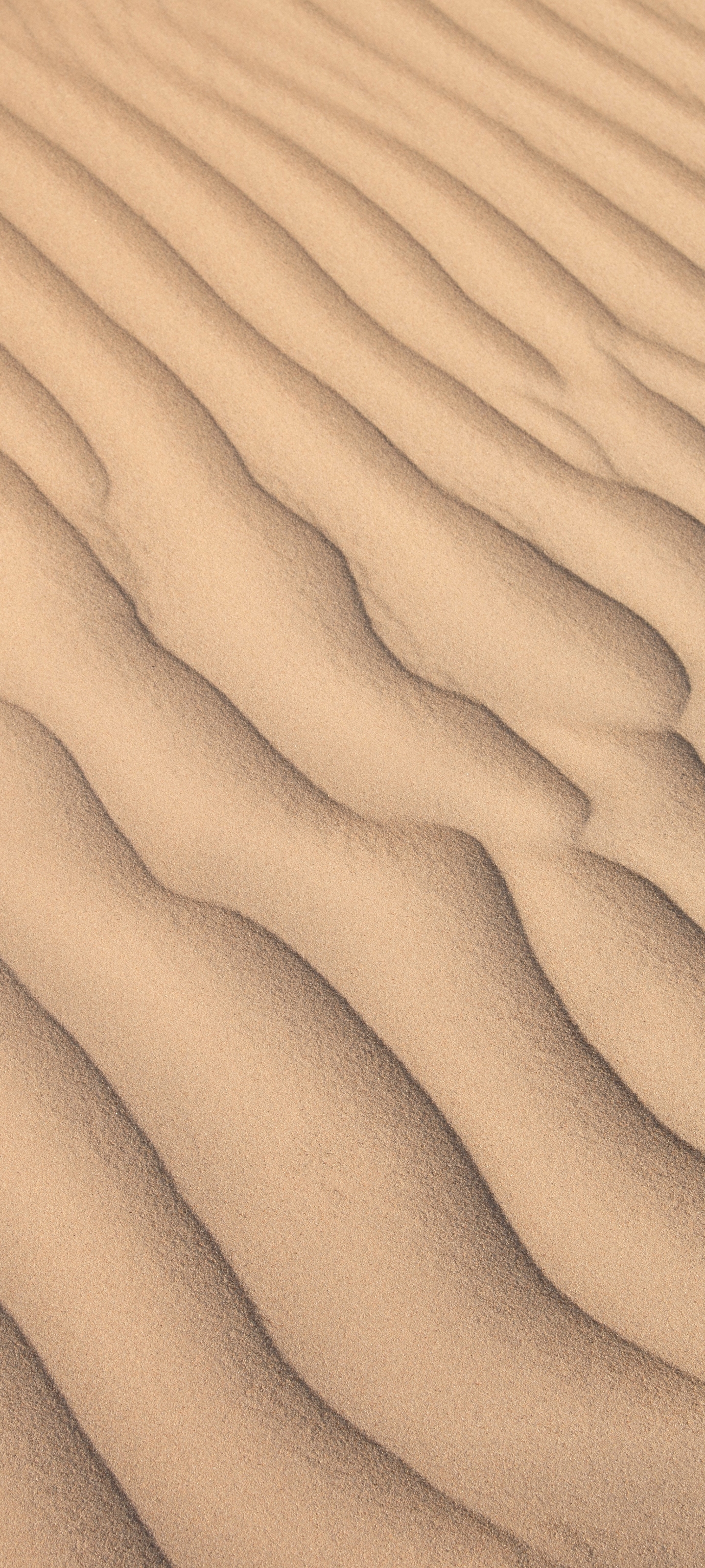 Скачати мобільні шпалери Пісок, Пустеля, Земля безкоштовно.