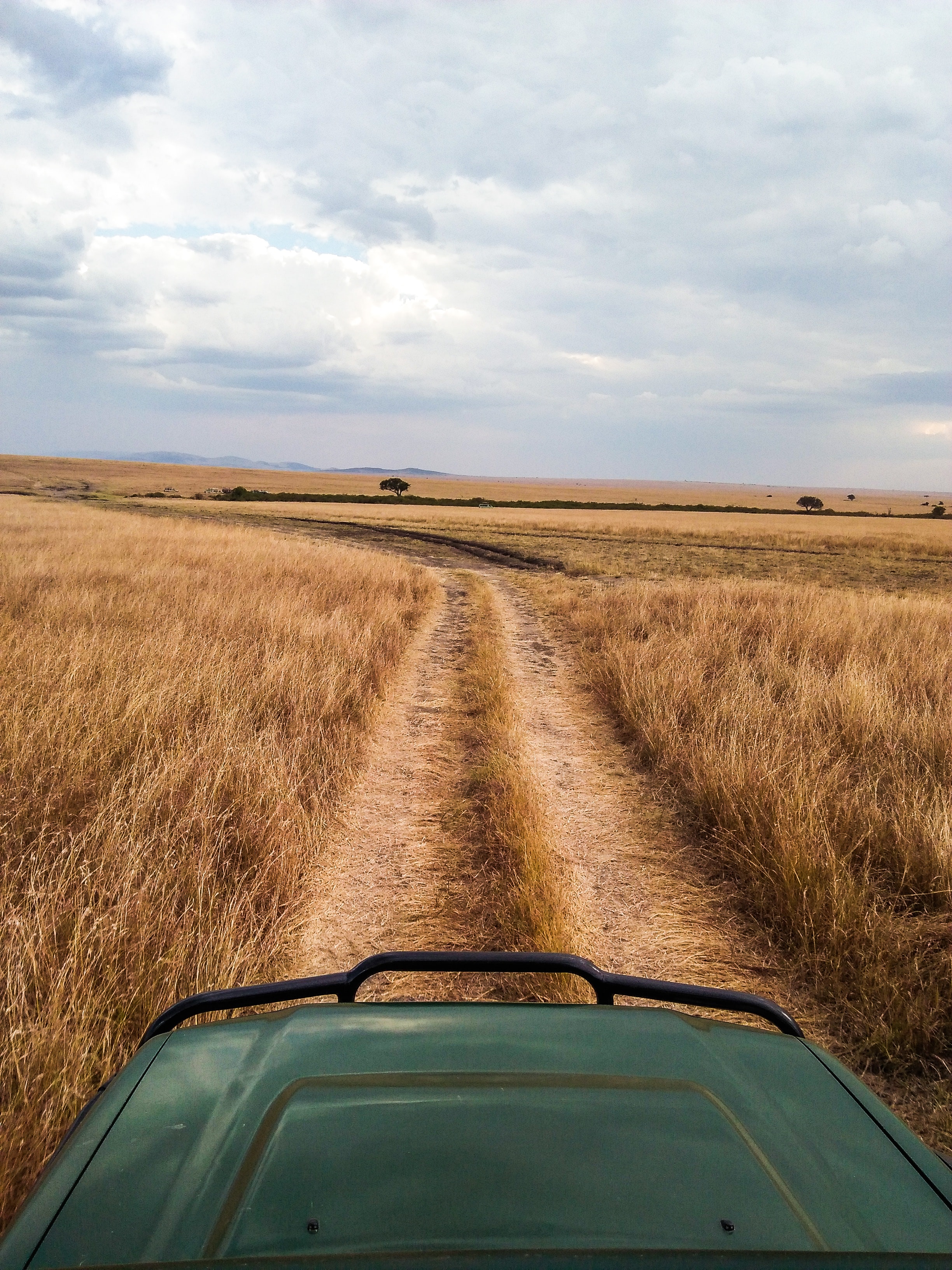 Download mobile wallpaper Dahl, Distance, Grass, Road, Machine, Car, Nature for free.
