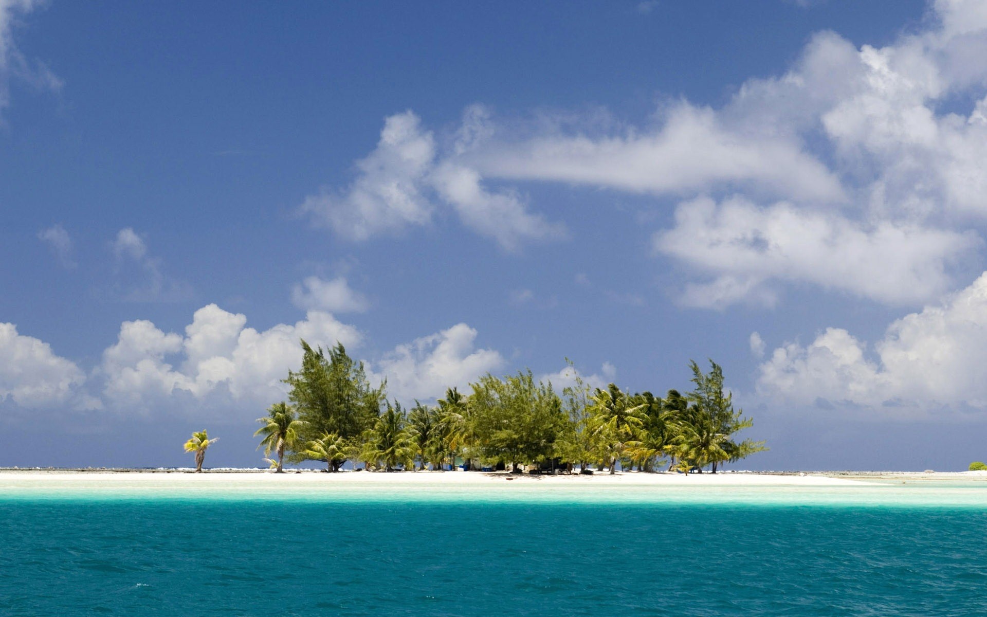 Скачать обои бесплатно Море, Пальмы, Океан, Остров, Тропический, Мальдивы, Земля/природа картинка на рабочий стол ПК