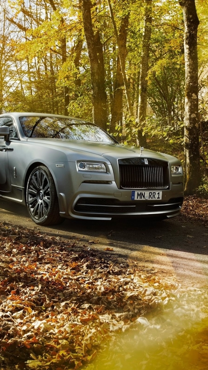 Download mobile wallpaper Rolls Royce, Wood, Leaf, Fall, Rolls Royce Wraith, Vehicles for free.
