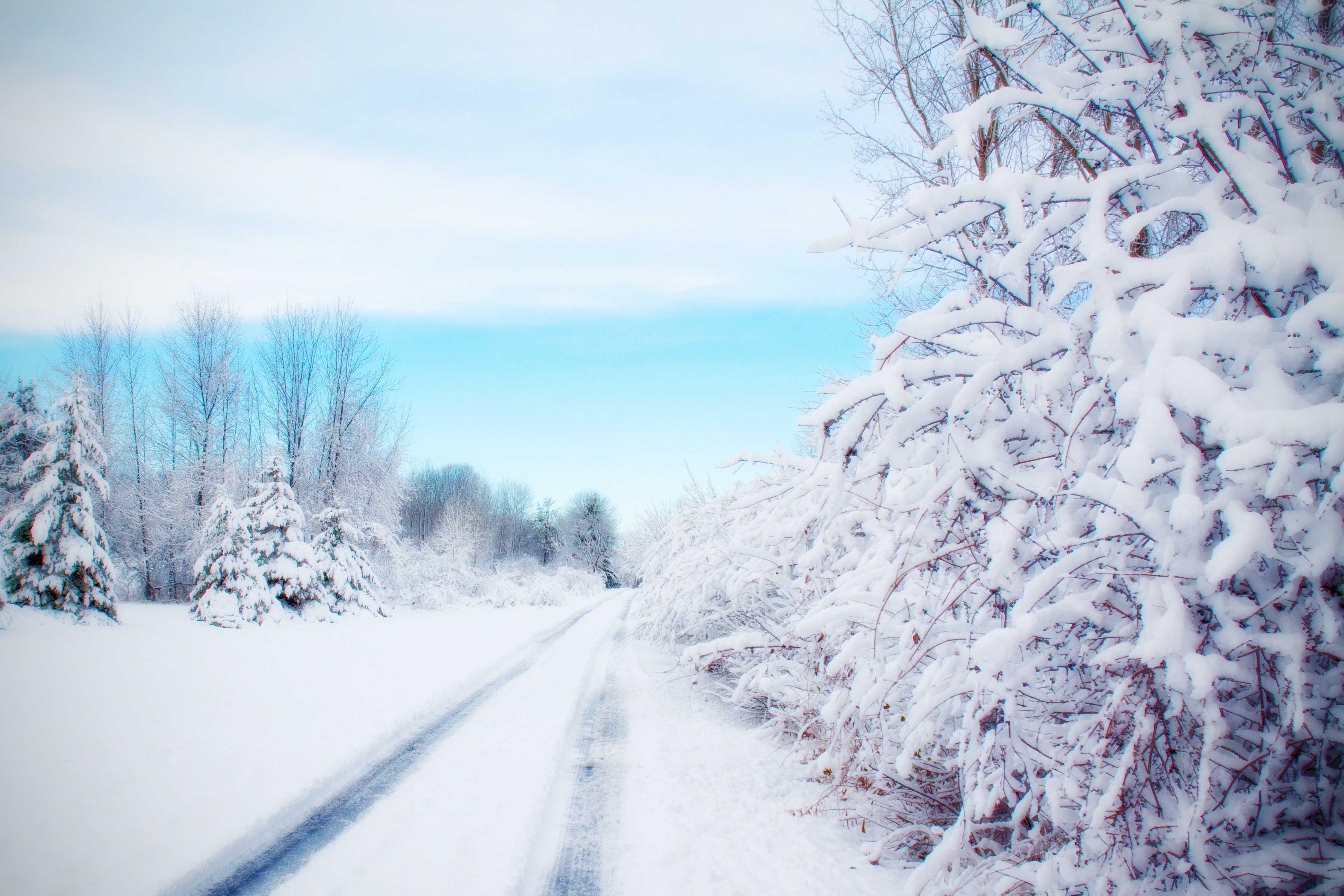 Download mobile wallpaper Winter, Snow, Road, Tree, Earth for free.