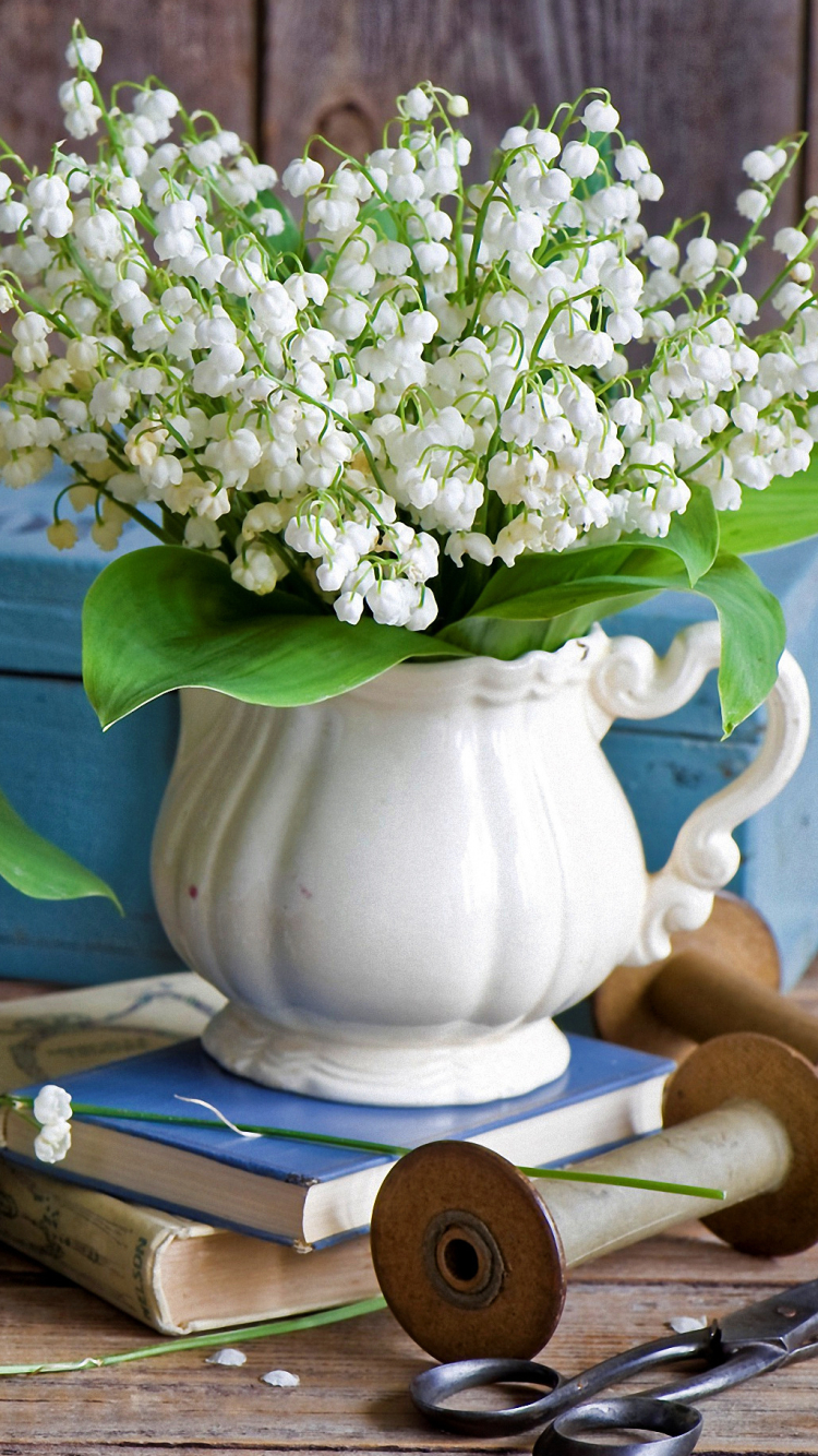 Descarga gratuita de fondo de pantalla para móvil de Flor, Fotografía, Bodegón.