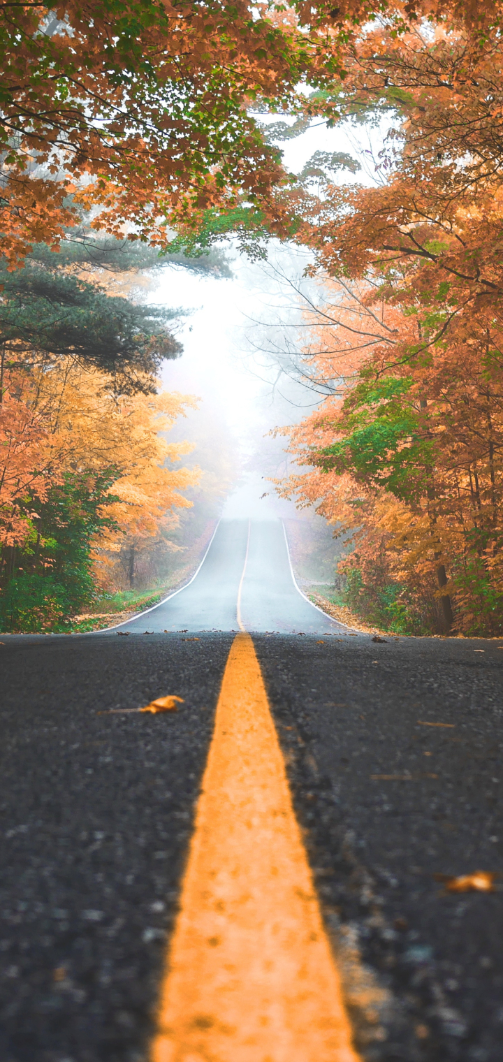 Download mobile wallpaper Nature, Road, Fall, Man Made for free.