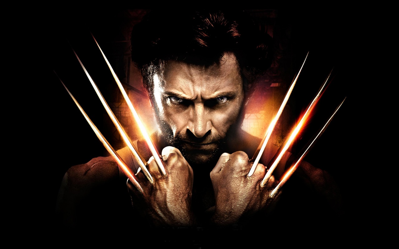 movie, the wolverine Full HD