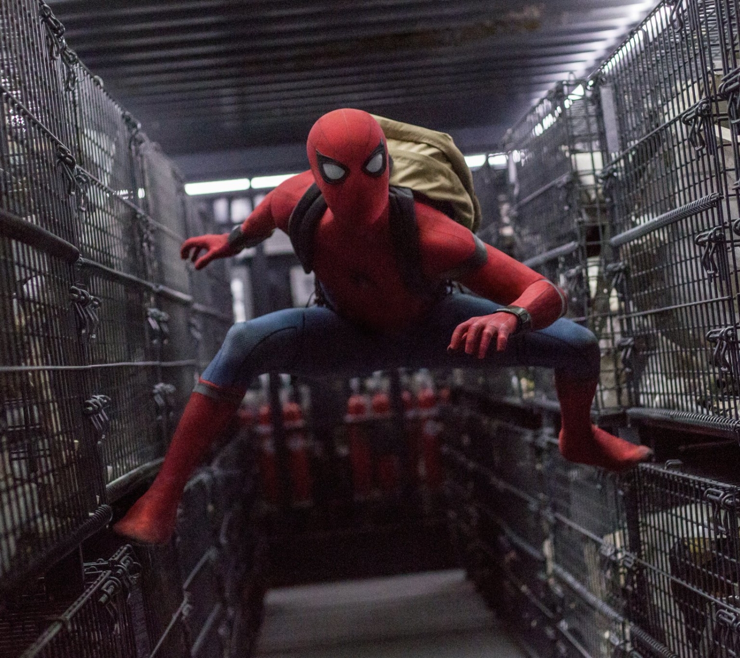 Baixar papel de parede para celular de Homem Aranha, Filme, Homem Aranha: De Volta Ao Lar gratuito.