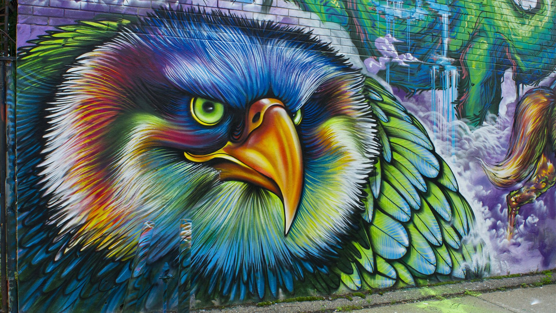 Download mobile wallpaper Colorful, Eagle, Graffiti, Artistic for free.
