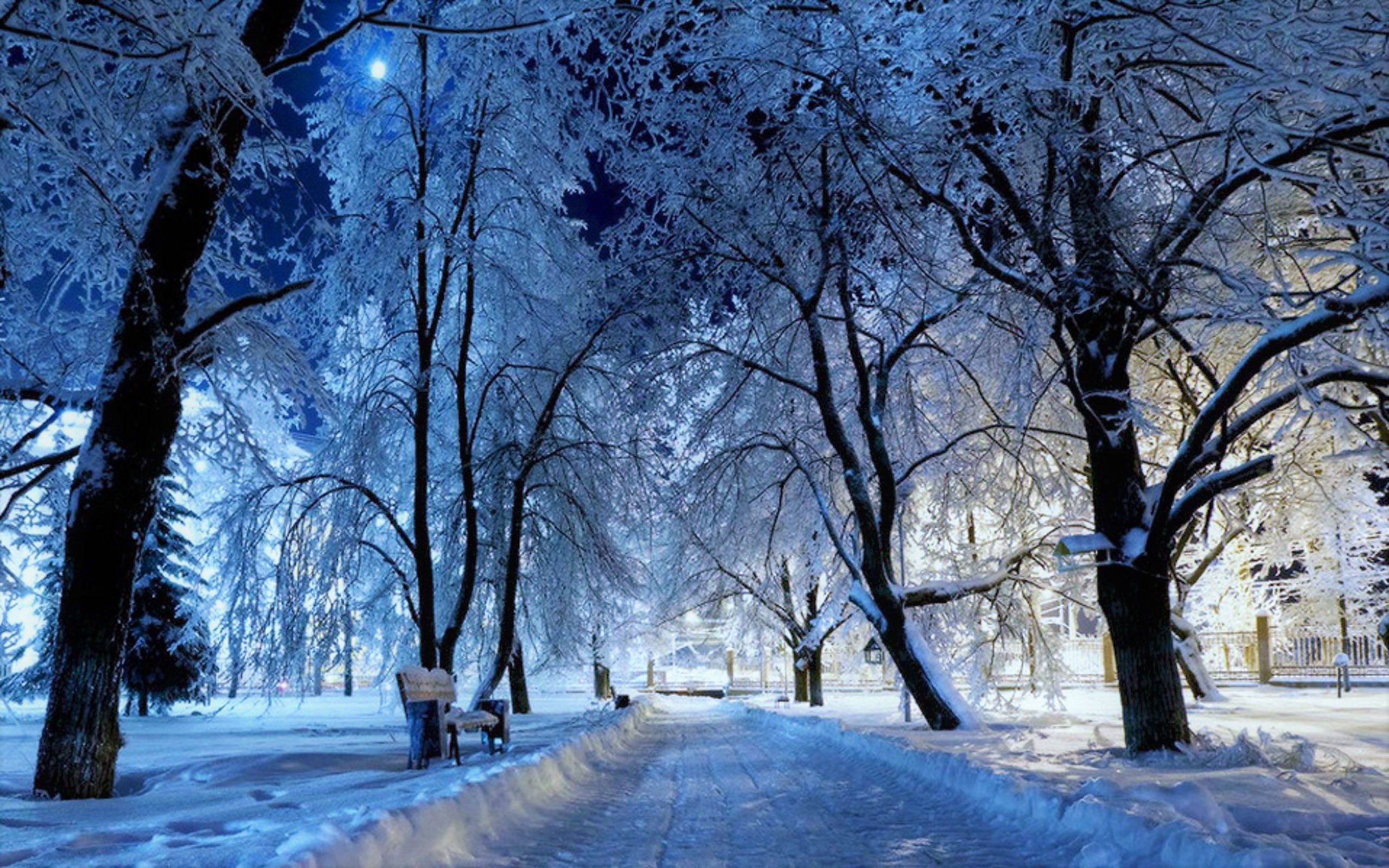 Скачать обои бесплатно Зима, Ночь, Снег, Парк, Дерево, Скамья, Фотографии картинка на рабочий стол ПК