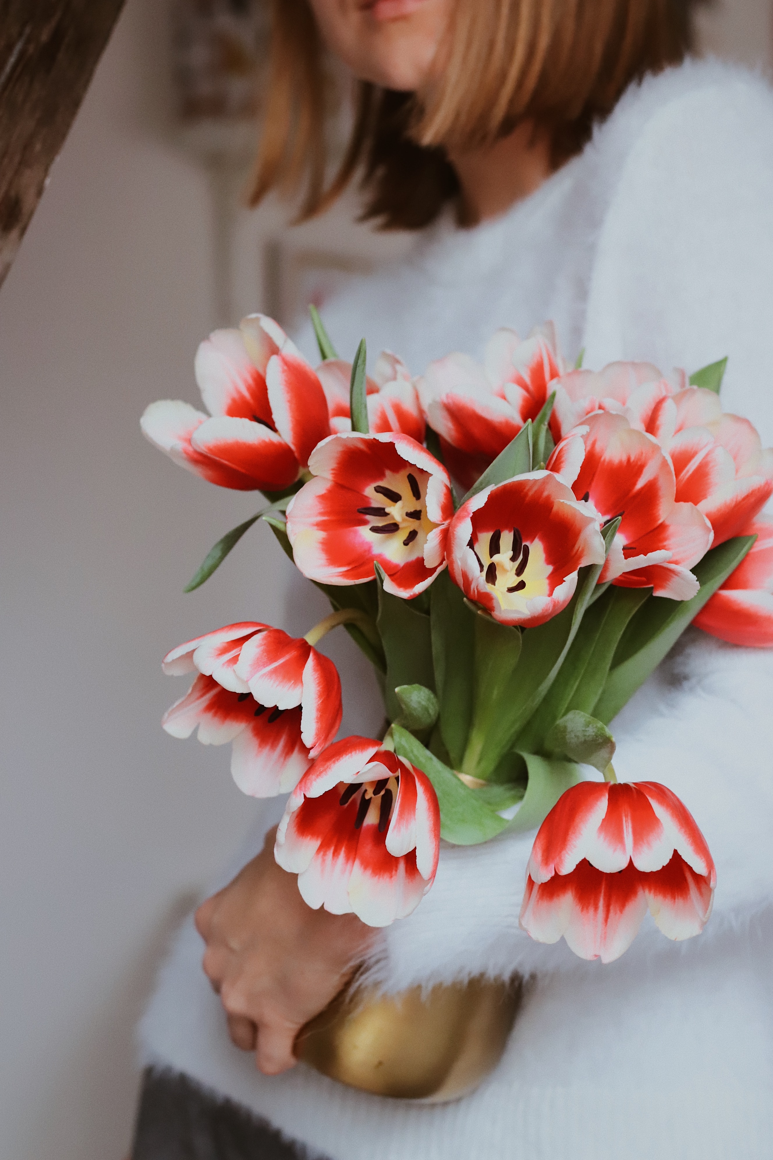 flowers, tulips, red, bouquet Desktop Wallpaper
