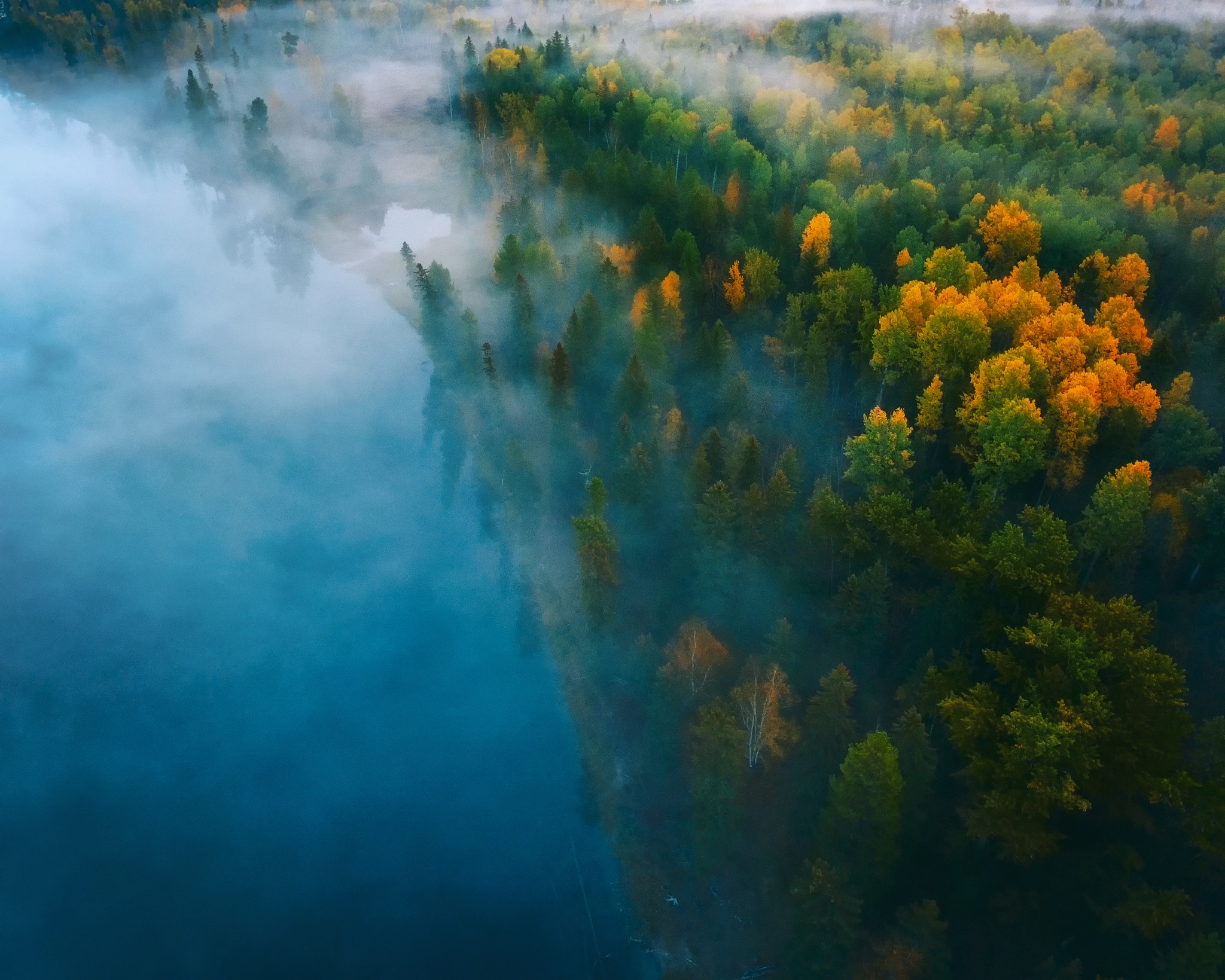 Téléchargez gratuitement l'image Automne, Forêt, Arbre, Brouillard, Aérien, La Nature, Terre/nature sur le bureau de votre PC