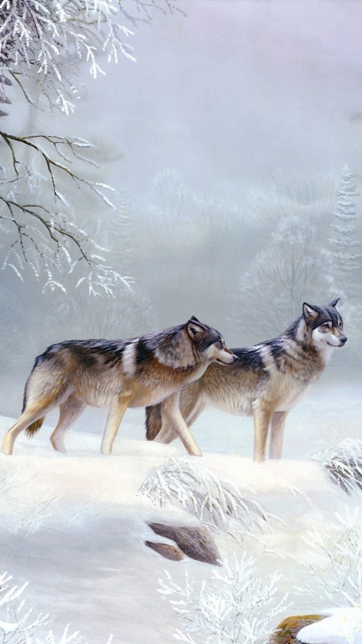 Téléchargez des papiers peints mobile Animaux, Hiver, Loup, L'hiver, Neiger, Wolves gratuitement.