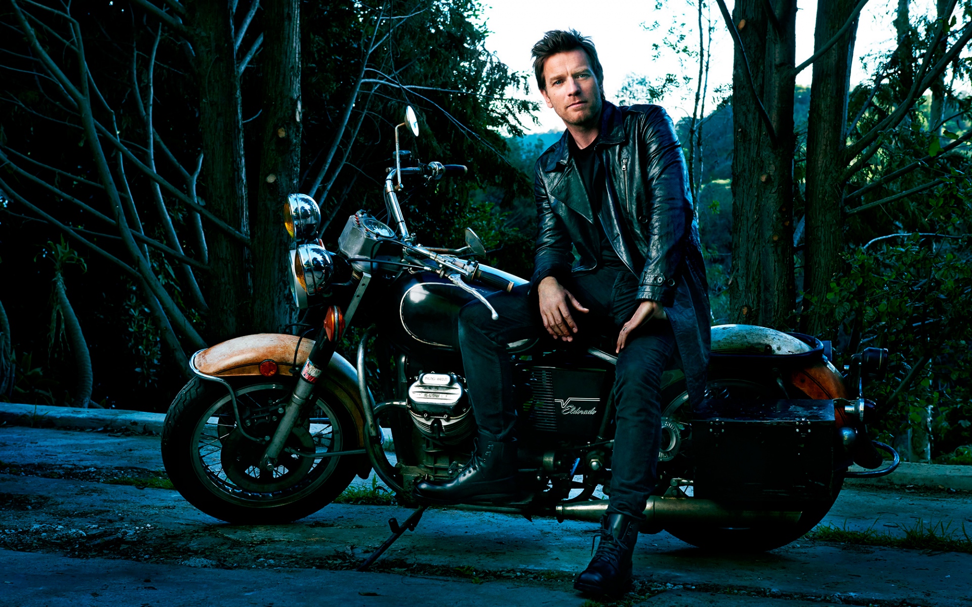 celebrity, ewan mcgregor, actor, motorcycle