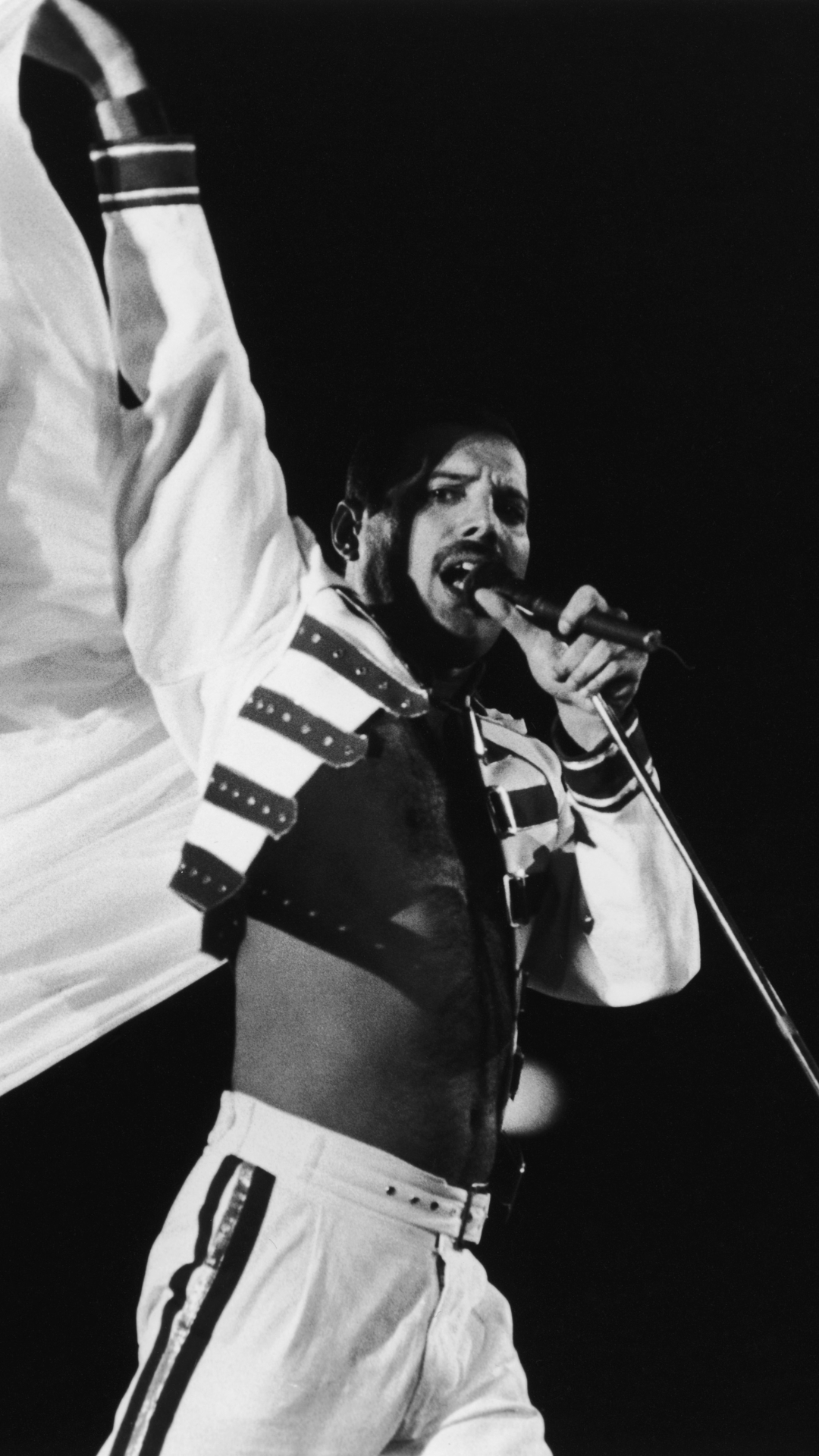 Baixar papel de parede para celular de Música, Rainha (Banda), Freddie Mercury gratuito.