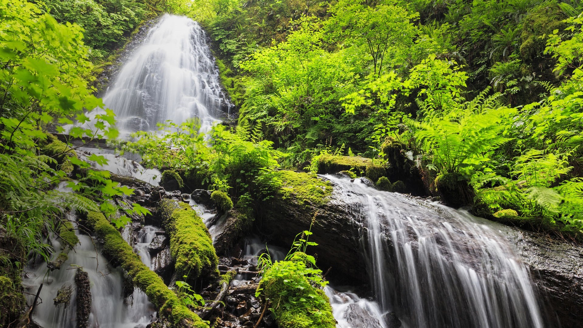 Скачать картинку Водопады, Водопад, Зелень, Земля/природа, Сказочный Водопад в телефон бесплатно.