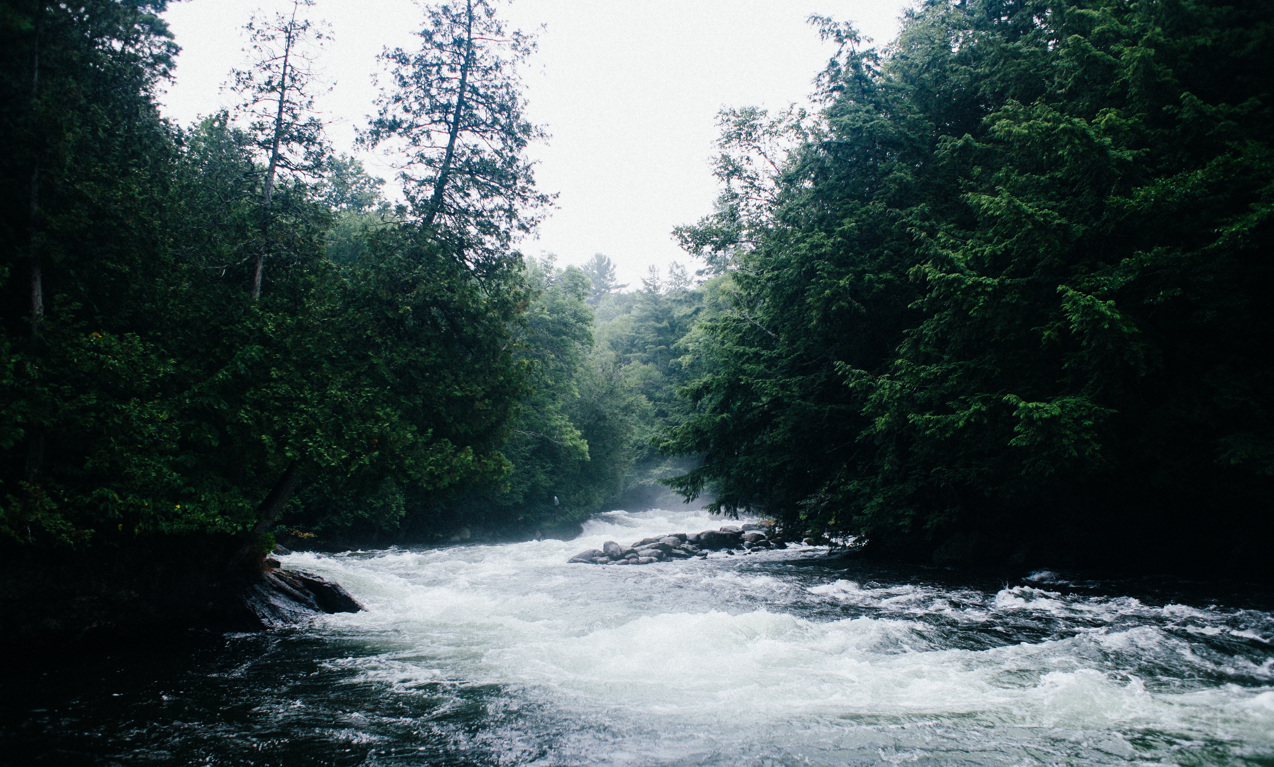 Laden Sie das Natur, Bäume, Fließen, Fluss, Flüsse-Bild kostenlos auf Ihren PC-Desktop herunter