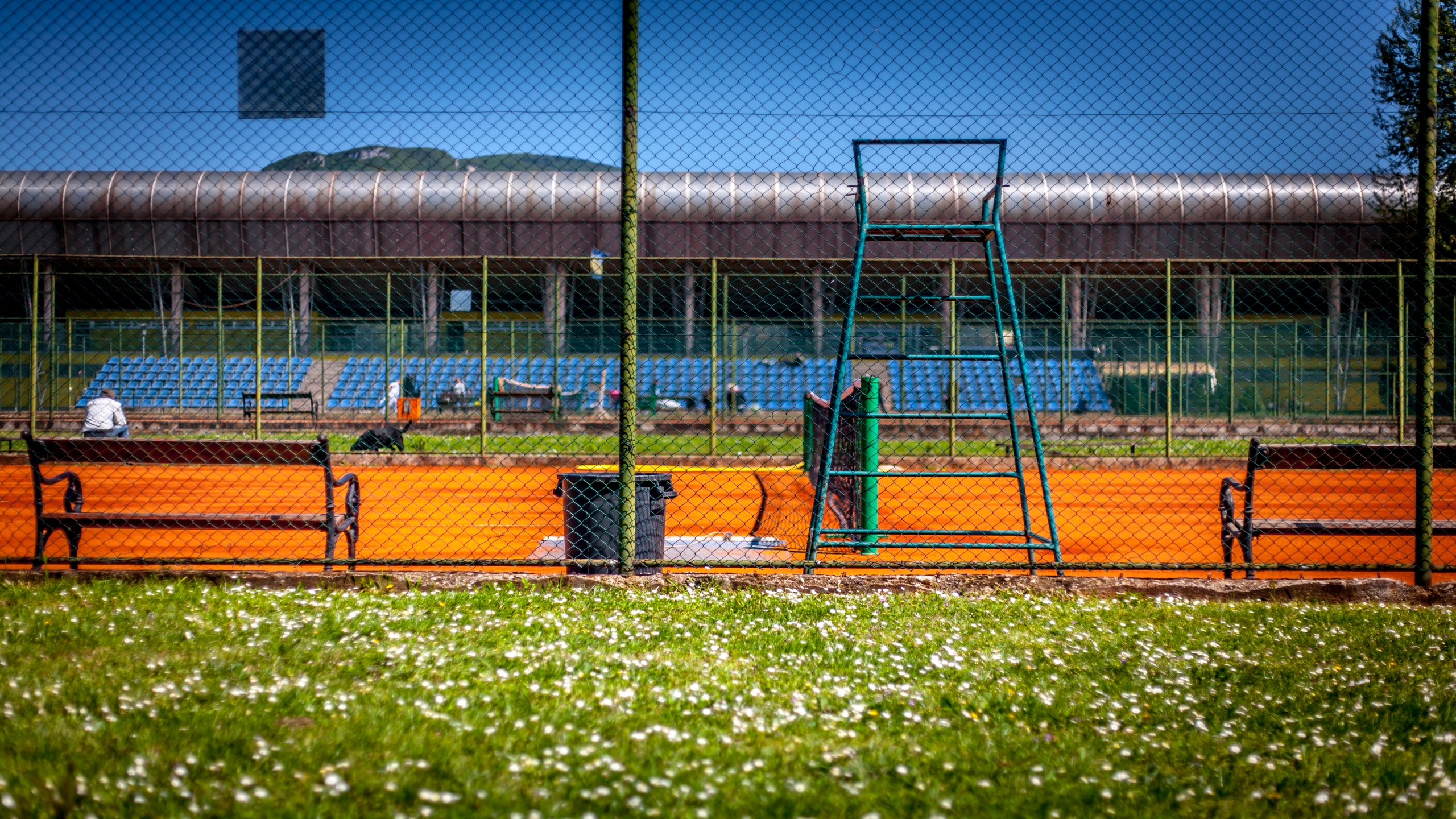 Handy-Wallpaper Sport, Tennis kostenlos herunterladen.