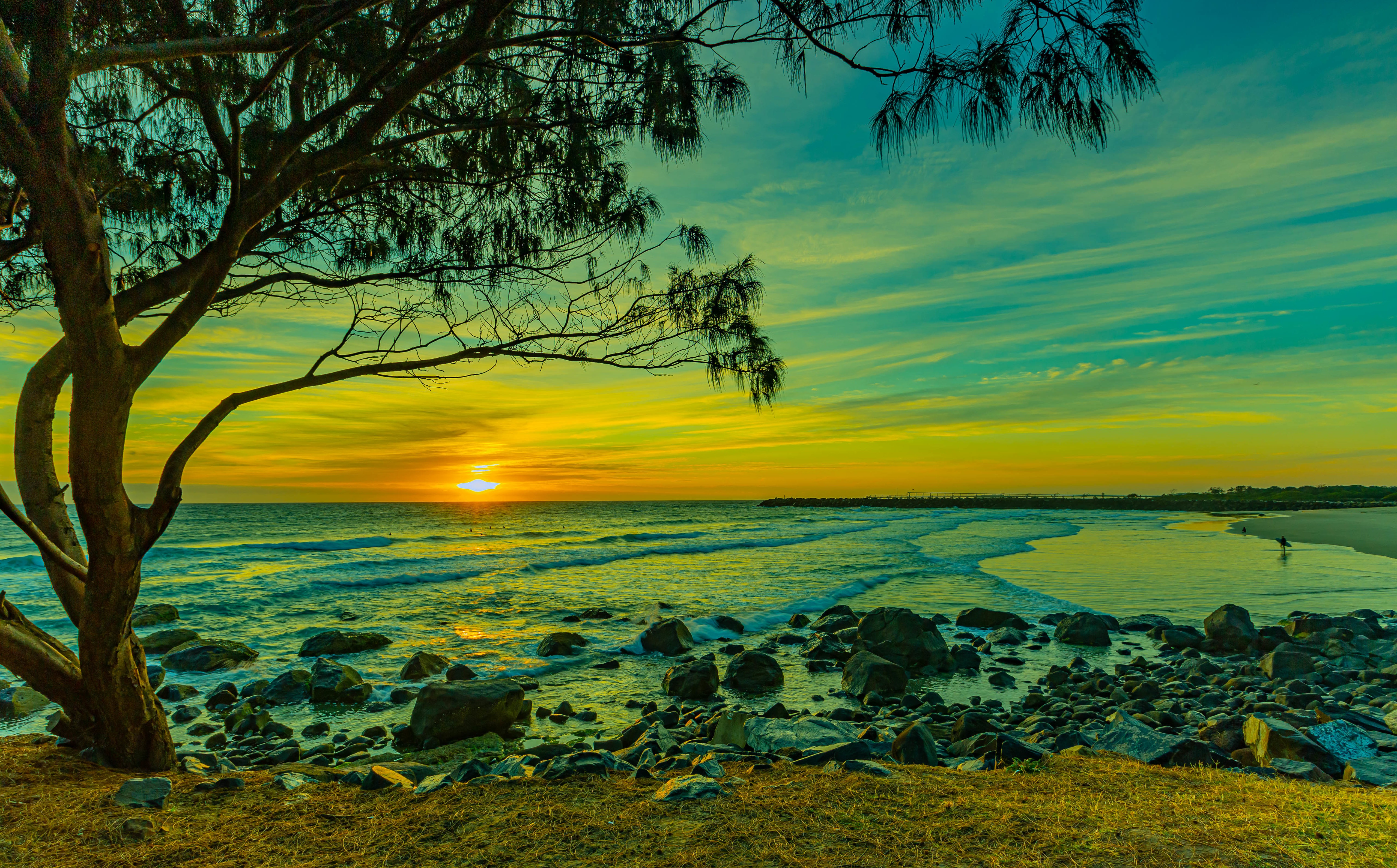 PCデスクトップに木, 日没, 海, ビーチ, 海岸, 太陽, 写真撮影画像を無料でダウンロード