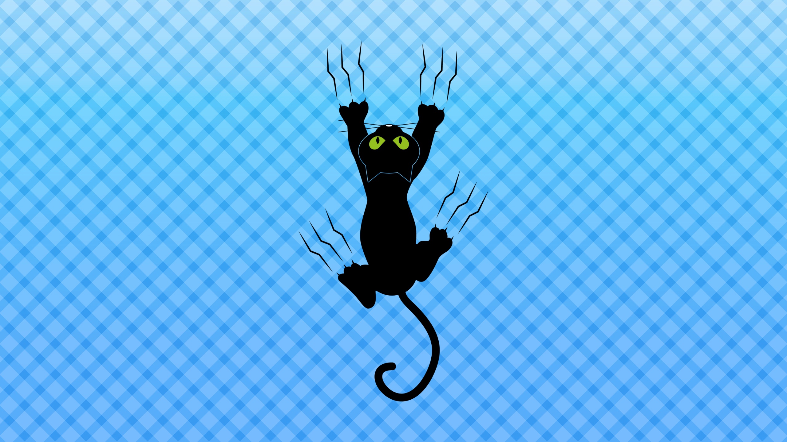 Baixe gratuitamente a imagem Animais, Gatos, Gato, Minimalista na área de trabalho do seu PC