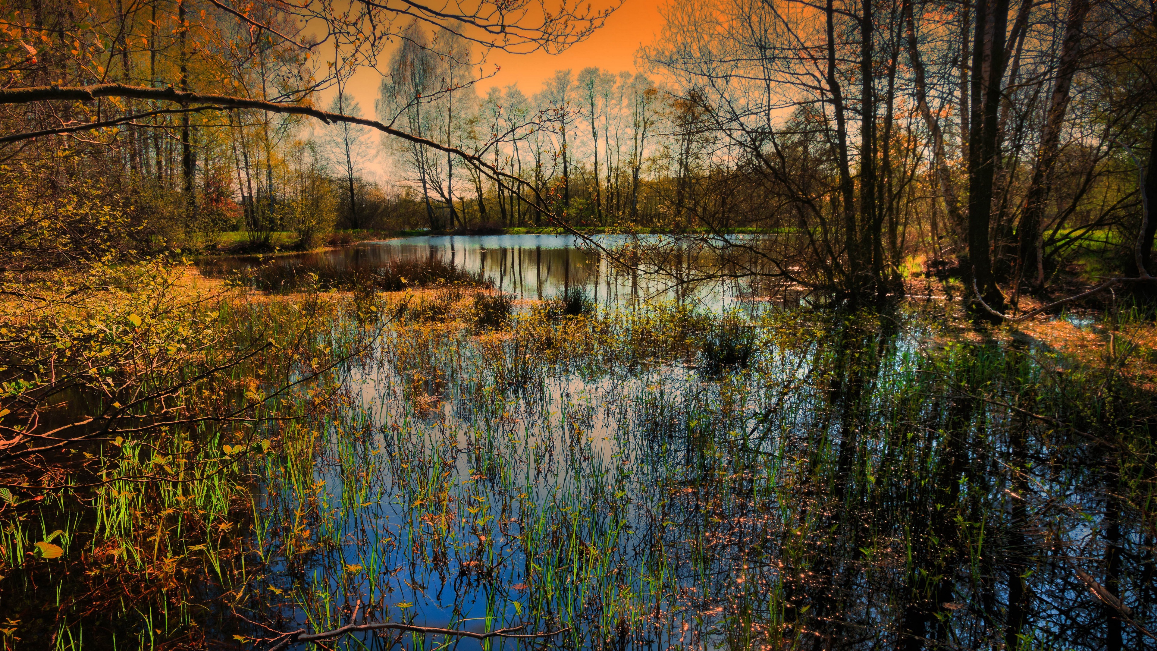 Laden Sie das Natur, Herbst, Wald, Fluss, Erde/natur-Bild kostenlos auf Ihren PC-Desktop herunter