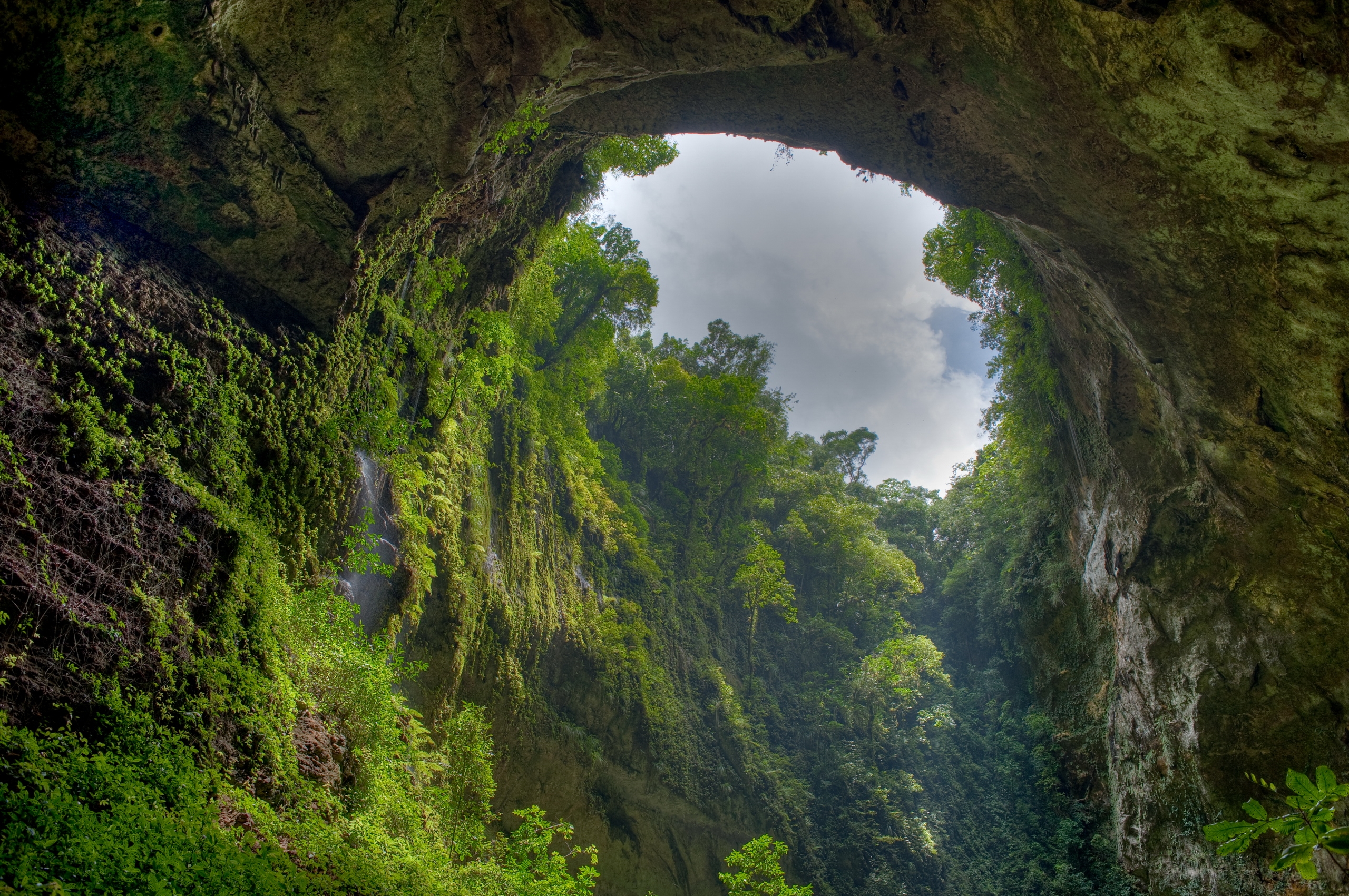 nature, sky, clouds, green, rock, vegetation, arch, gorge, from below