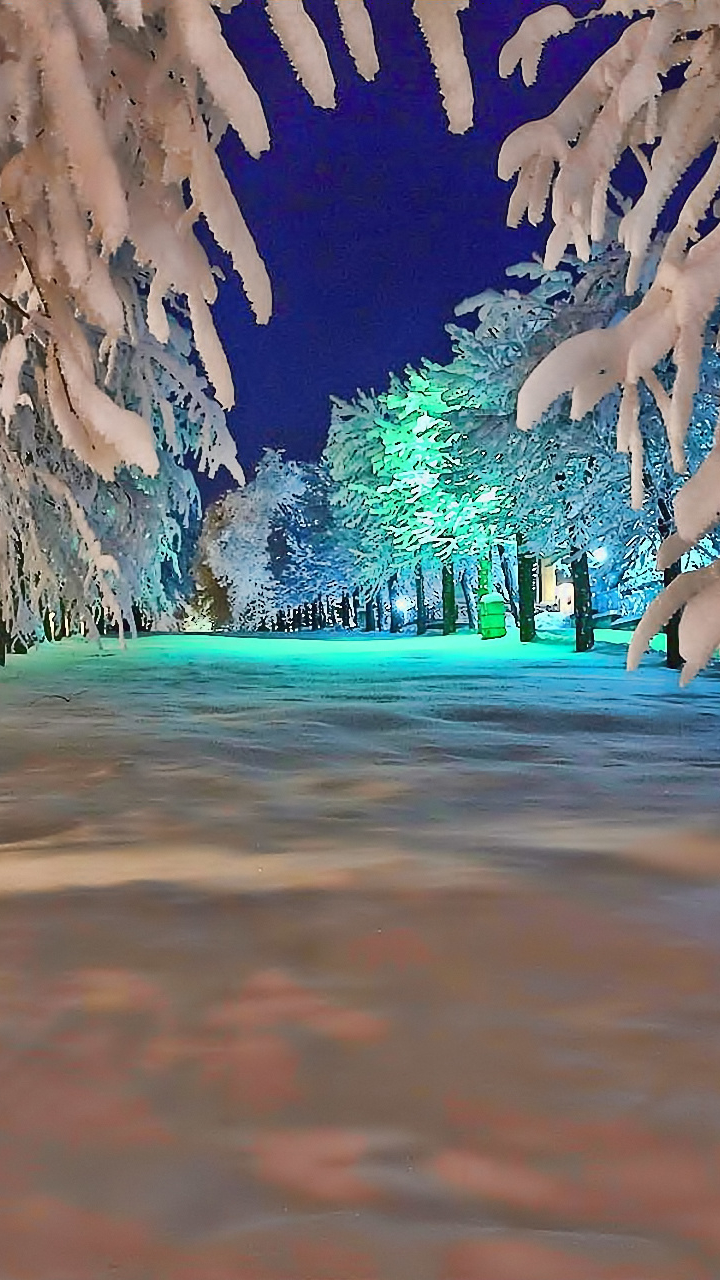 Download mobile wallpaper Winter, Night, Snow, Park, Tree, Photography for free.