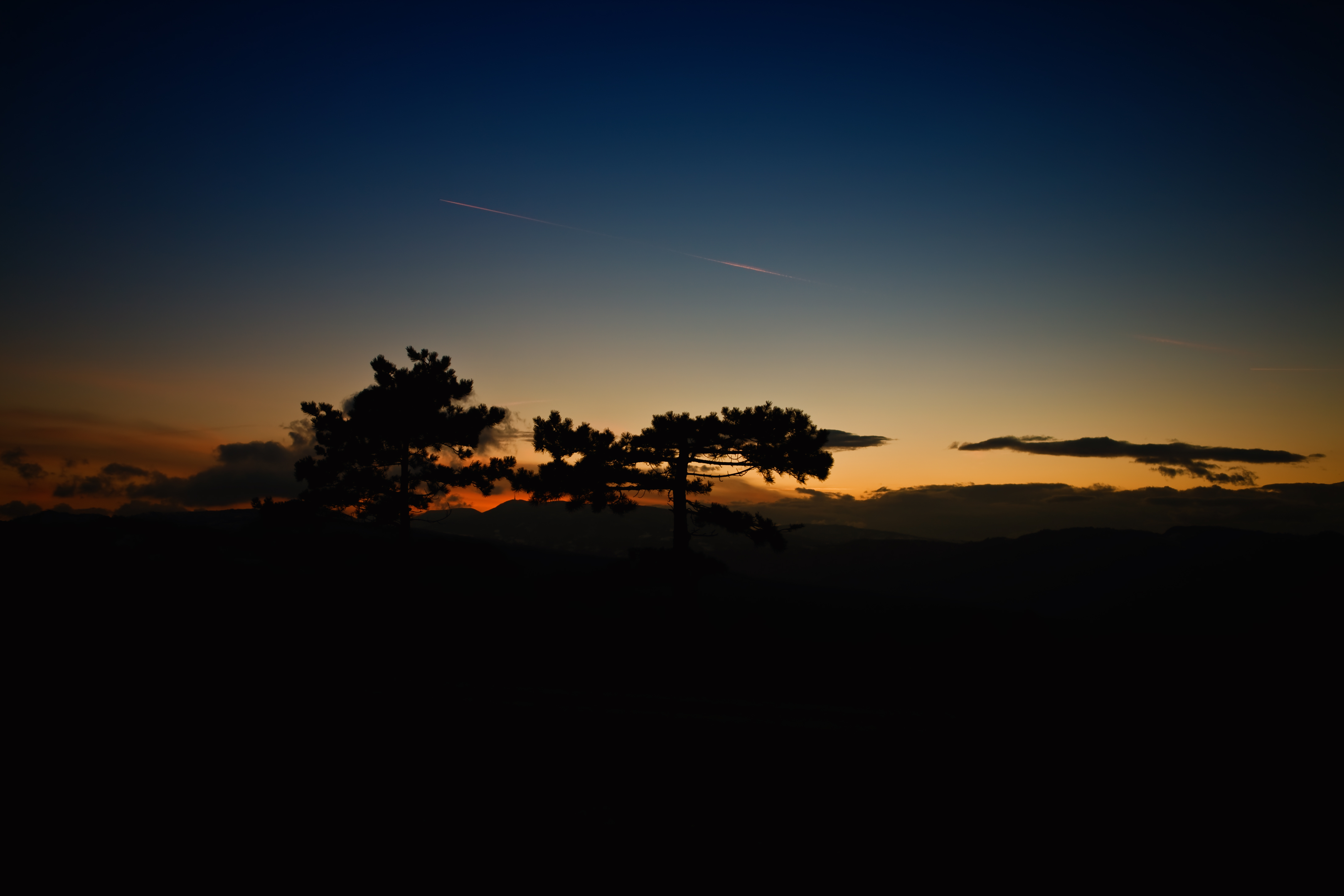 Laden Sie das Bäume, Sunset, Horizont, Clouds, Sky, Dunkel-Bild kostenlos auf Ihren PC-Desktop herunter