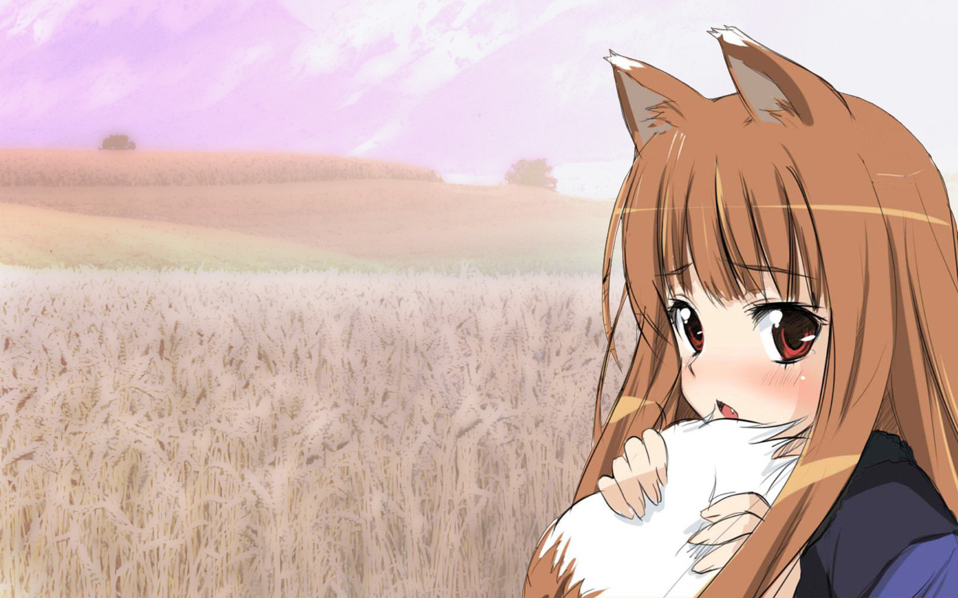 Baixe gratuitamente a imagem Anime, Holo (Spice & Wolf), Ôkami To Kôshinryô na área de trabalho do seu PC