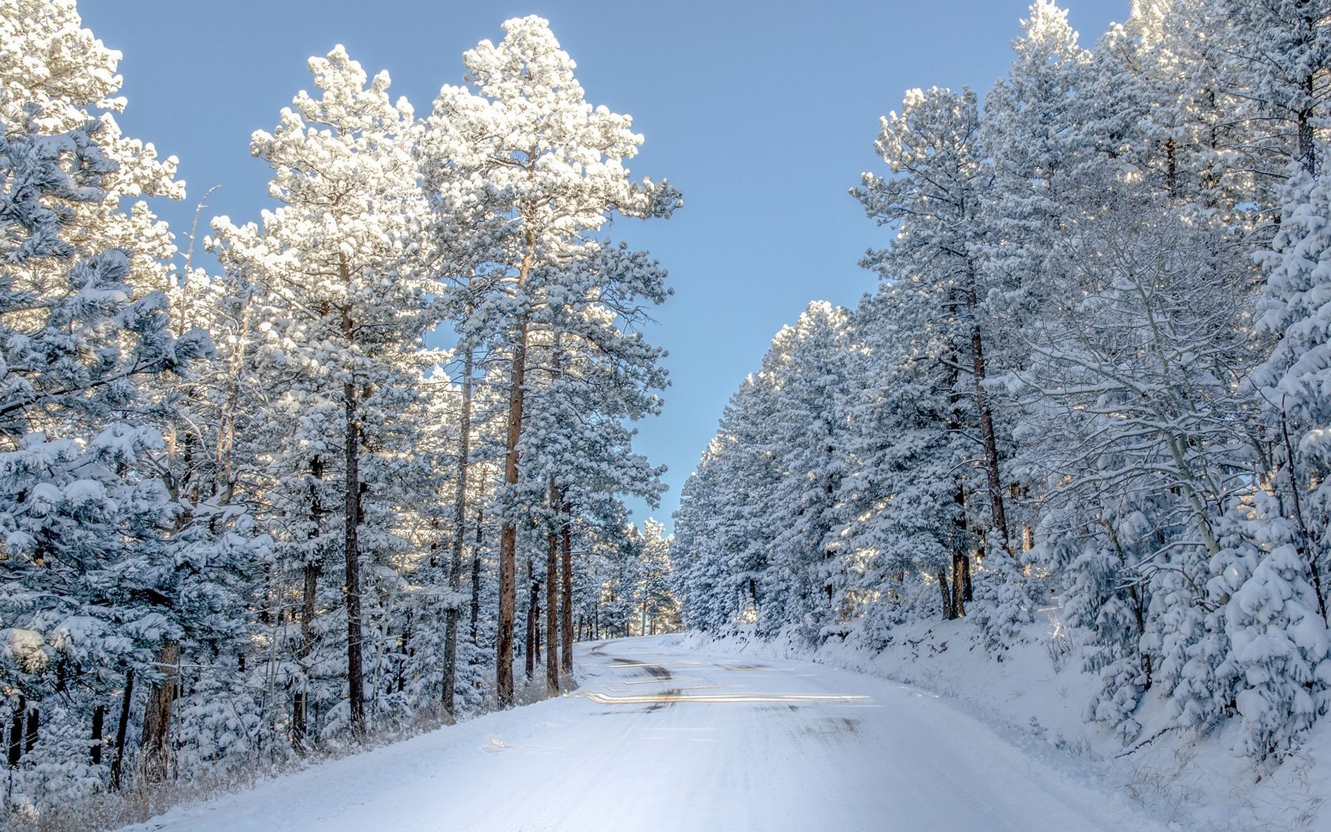 Free download wallpaper Winter, Snow, Road, Tree, Man Made on your PC desktop