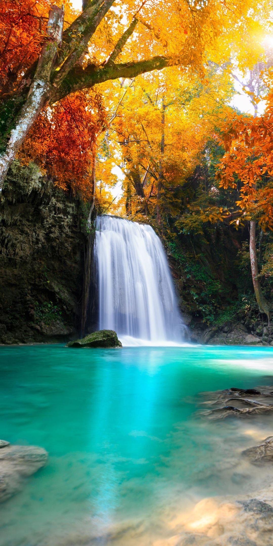 Скачать картинку Осень, Водопады, Водопад, Дерево, Земля, Падать, Земля/природа в телефон бесплатно.
