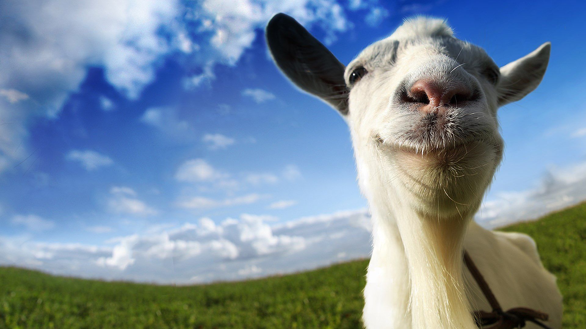 979492 télécharger l'image goat simulator, chèvre, jeux vidéo - fonds d'écran et économiseurs d'écran gratuits